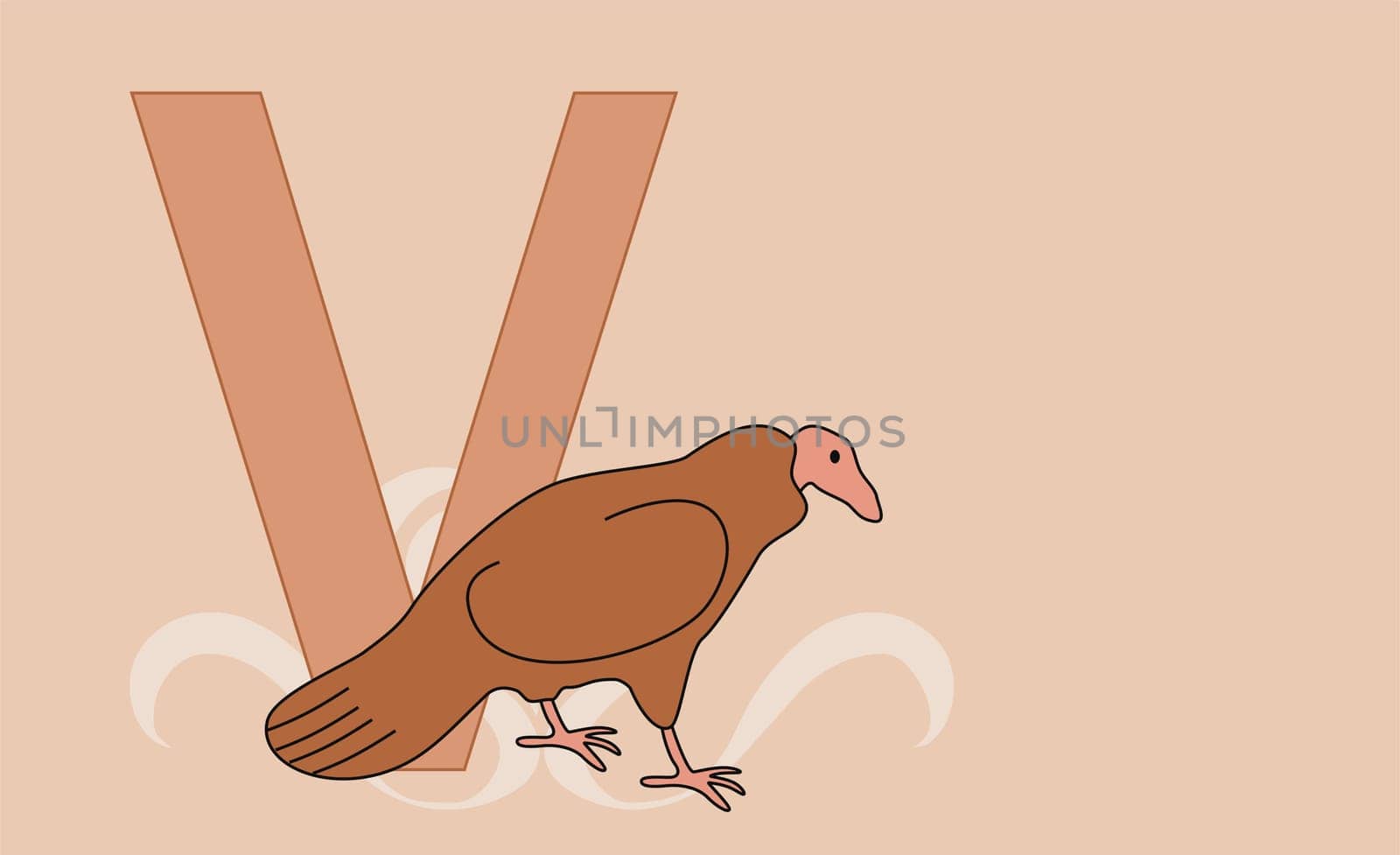 The letter V with a vulture