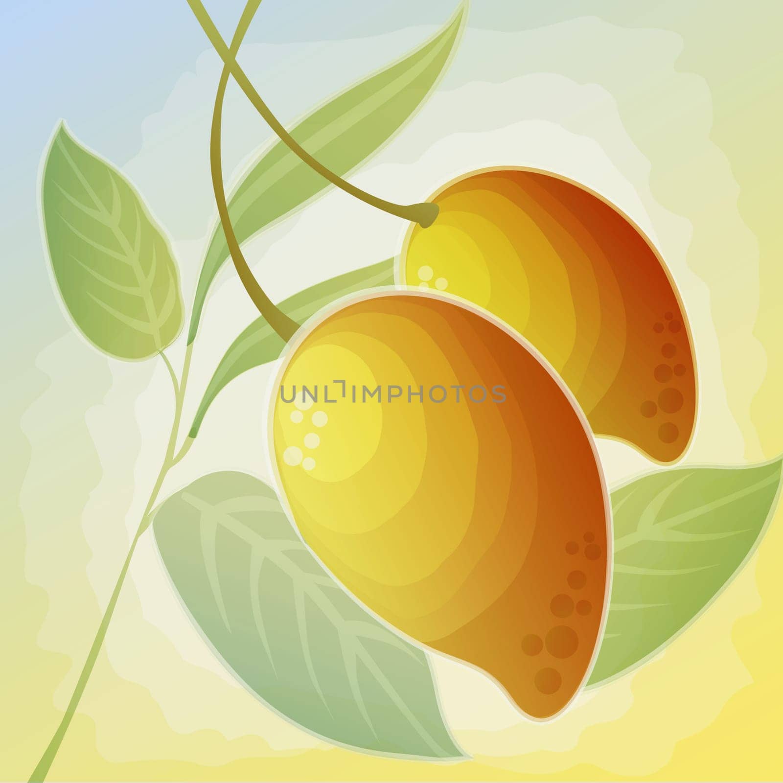 Two mangoes