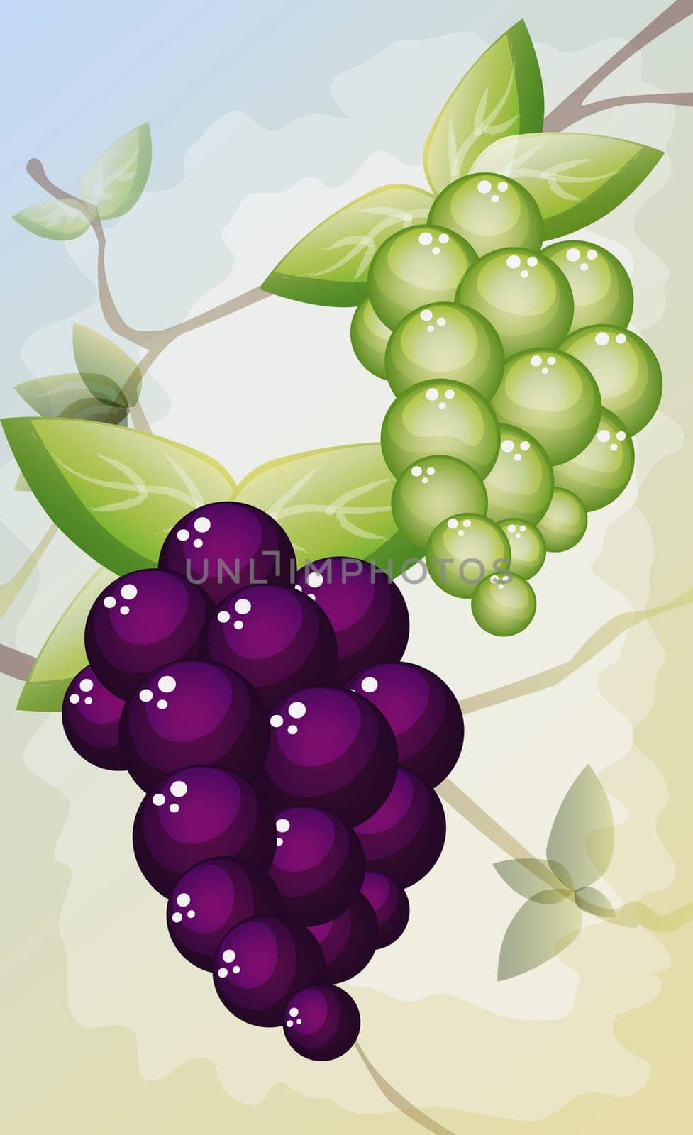 Bunch of red and green grapes