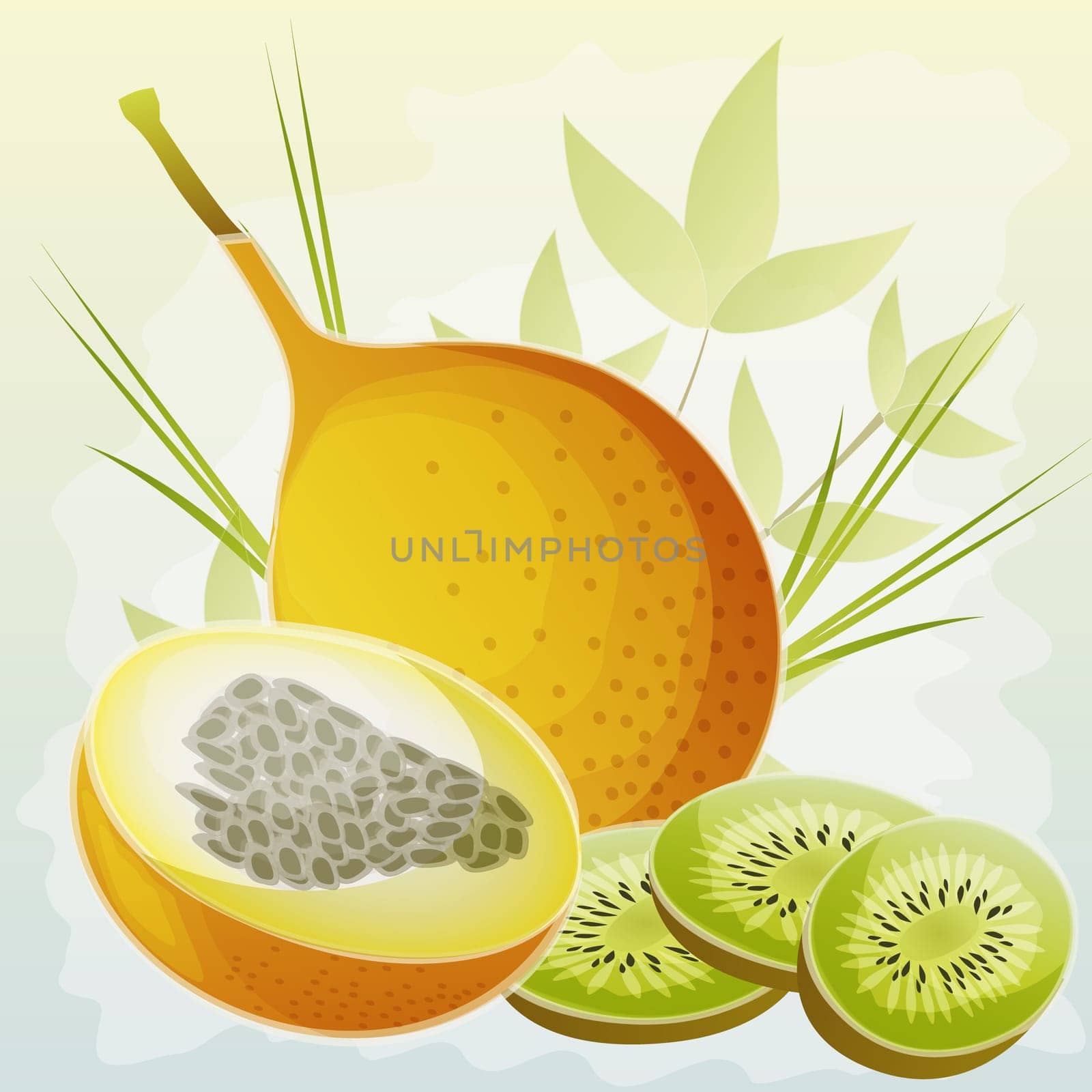 Close-up of a fig with kiwi fruit slices