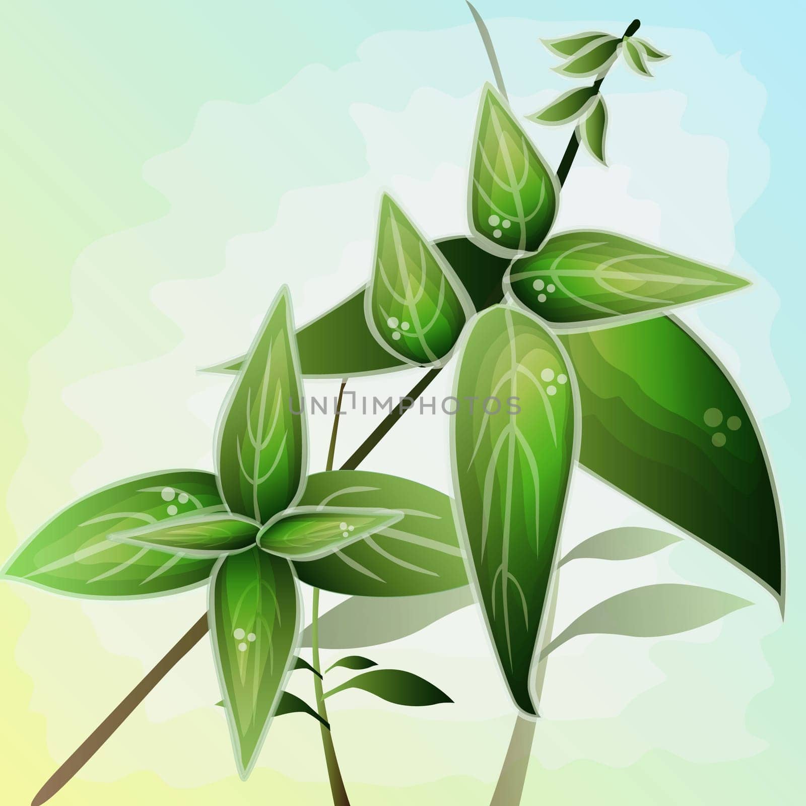 Close-up of leaves