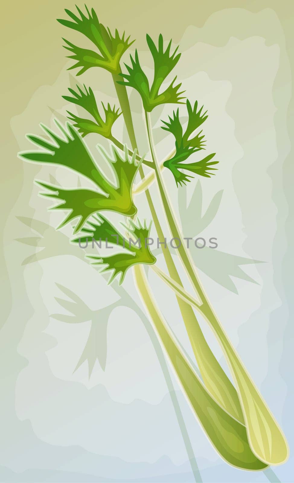 Celery