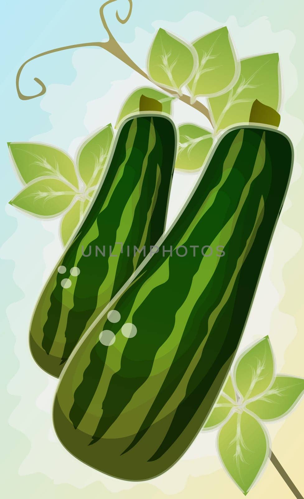 Two cucumbers