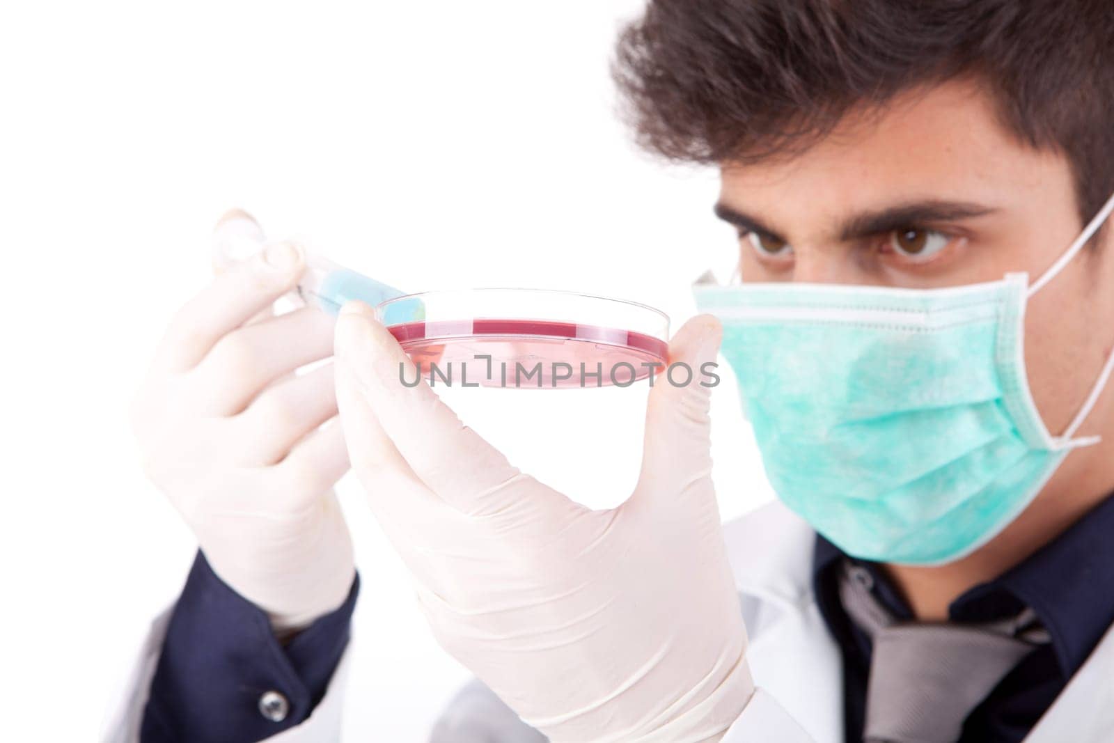 Young scientist working at laboratory