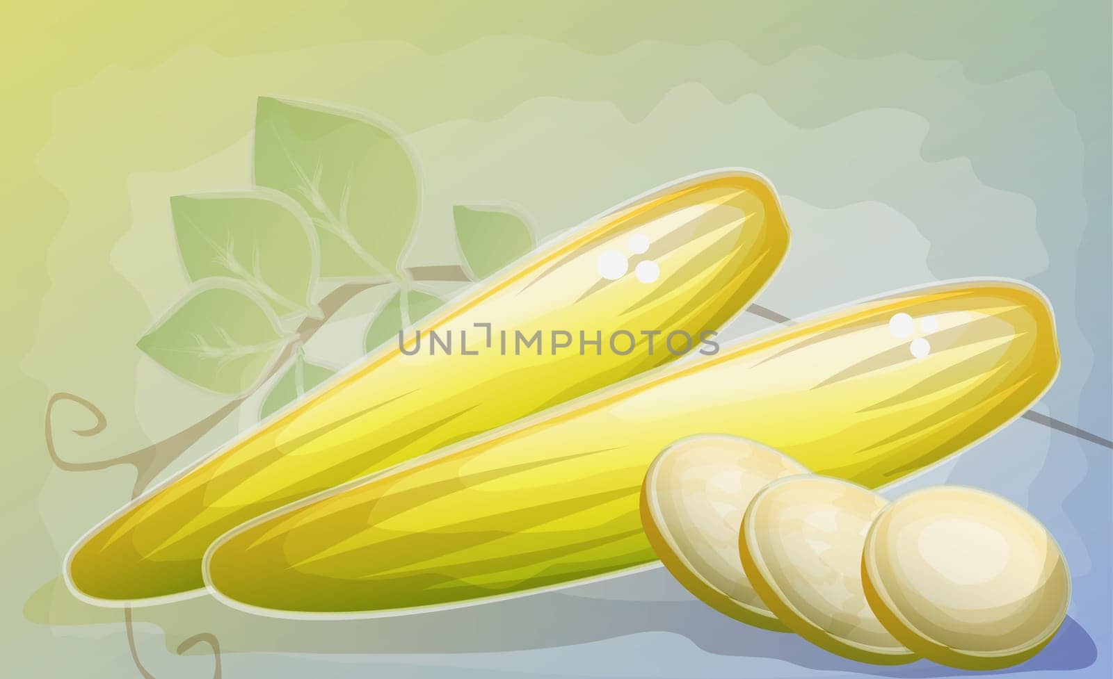 Two cucumbers with slices