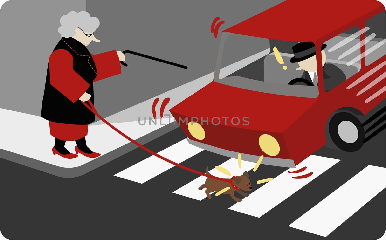 Woman crossing the road with her dog in front of a car