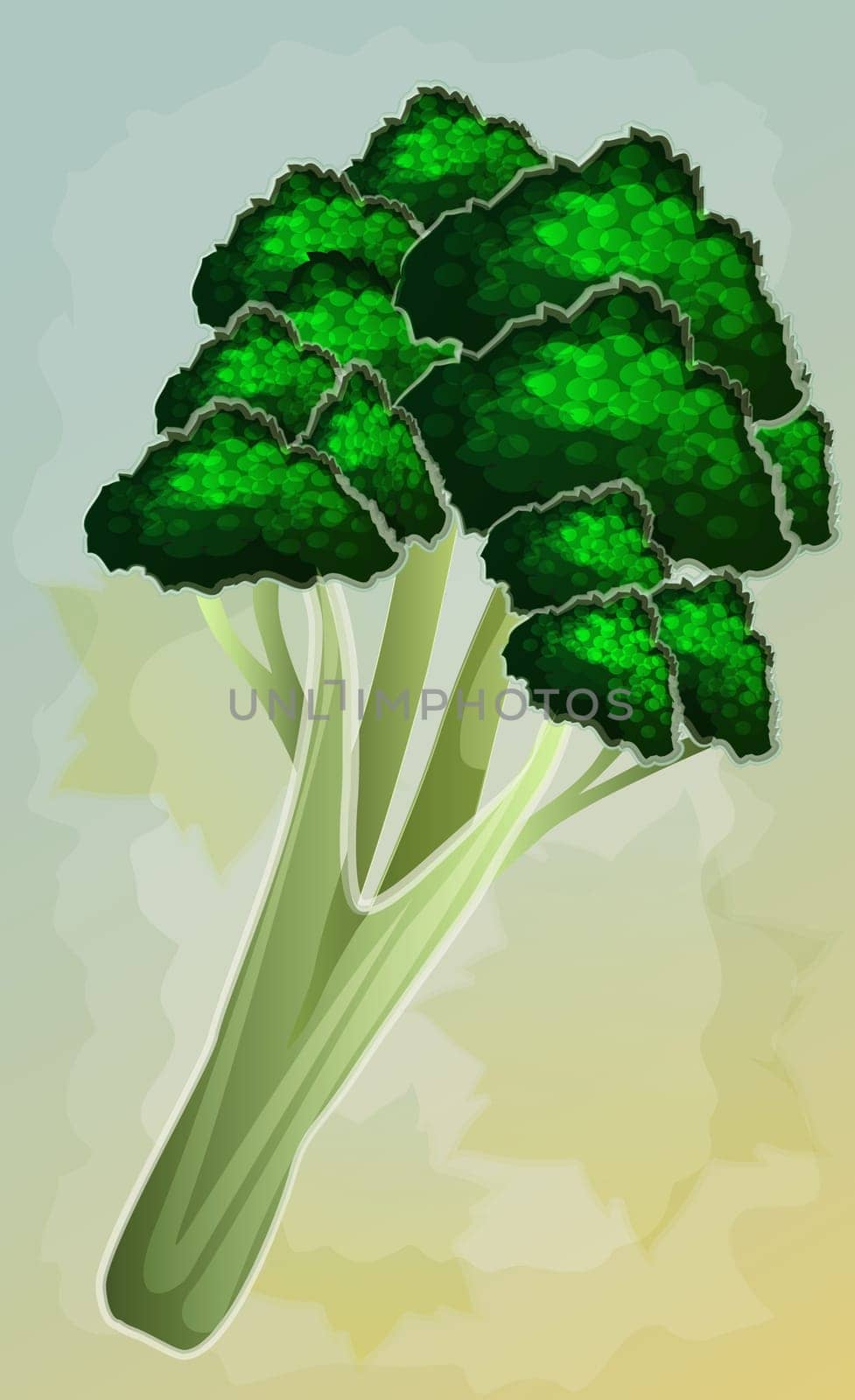 Close-up of broccoli