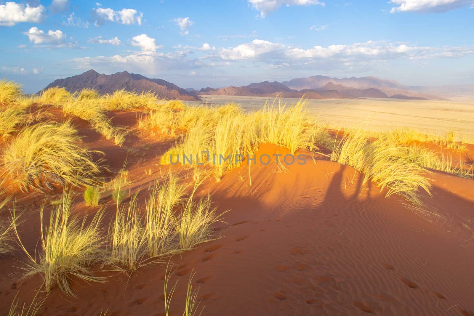 Dreamy dune landscape during sunset of the dunes in Sossusvlei, Namibia. Travel, tourism and adventure in Africa.
