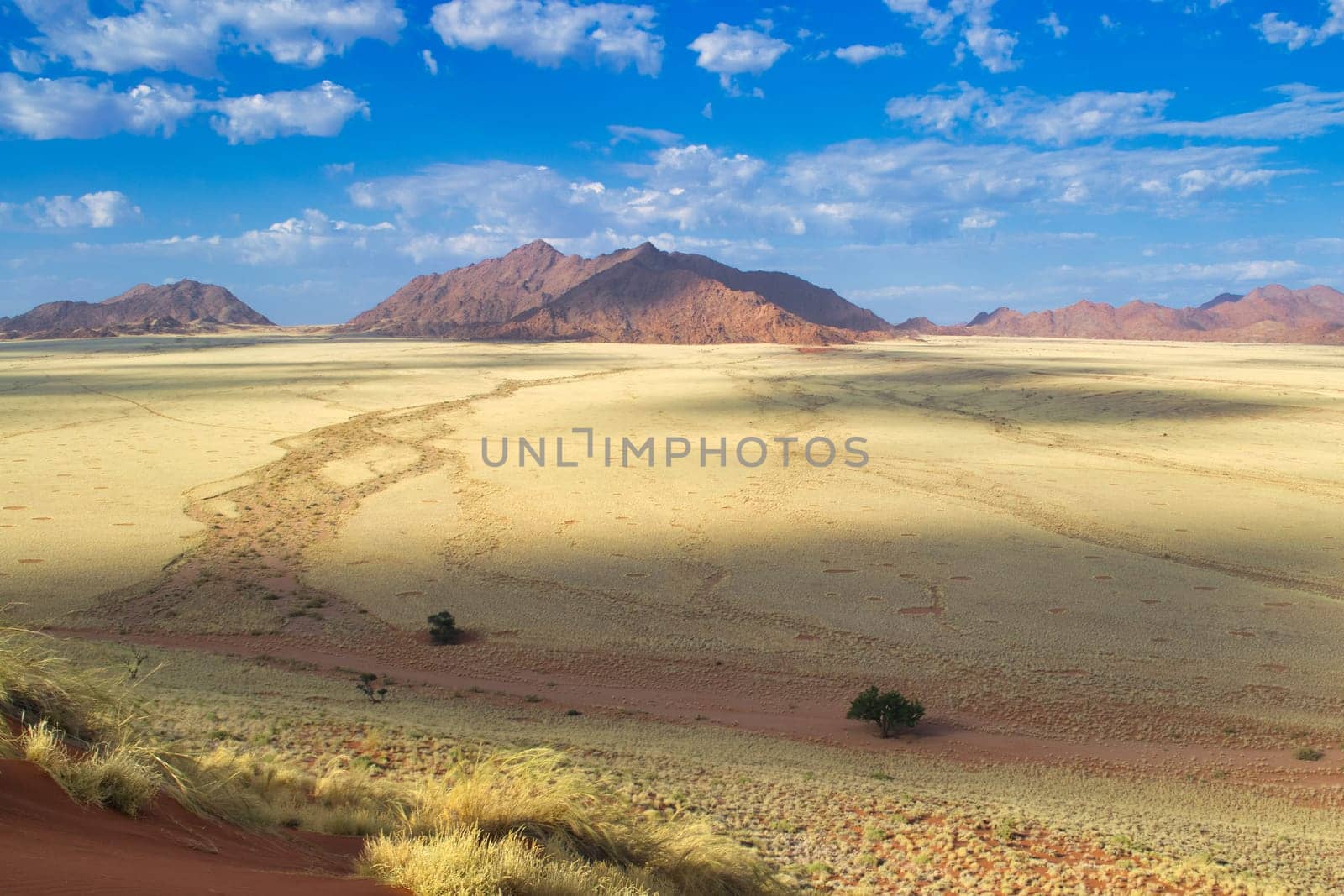 Landscape of the plains around Sossusvlei in Namibia. Travel and tourism.