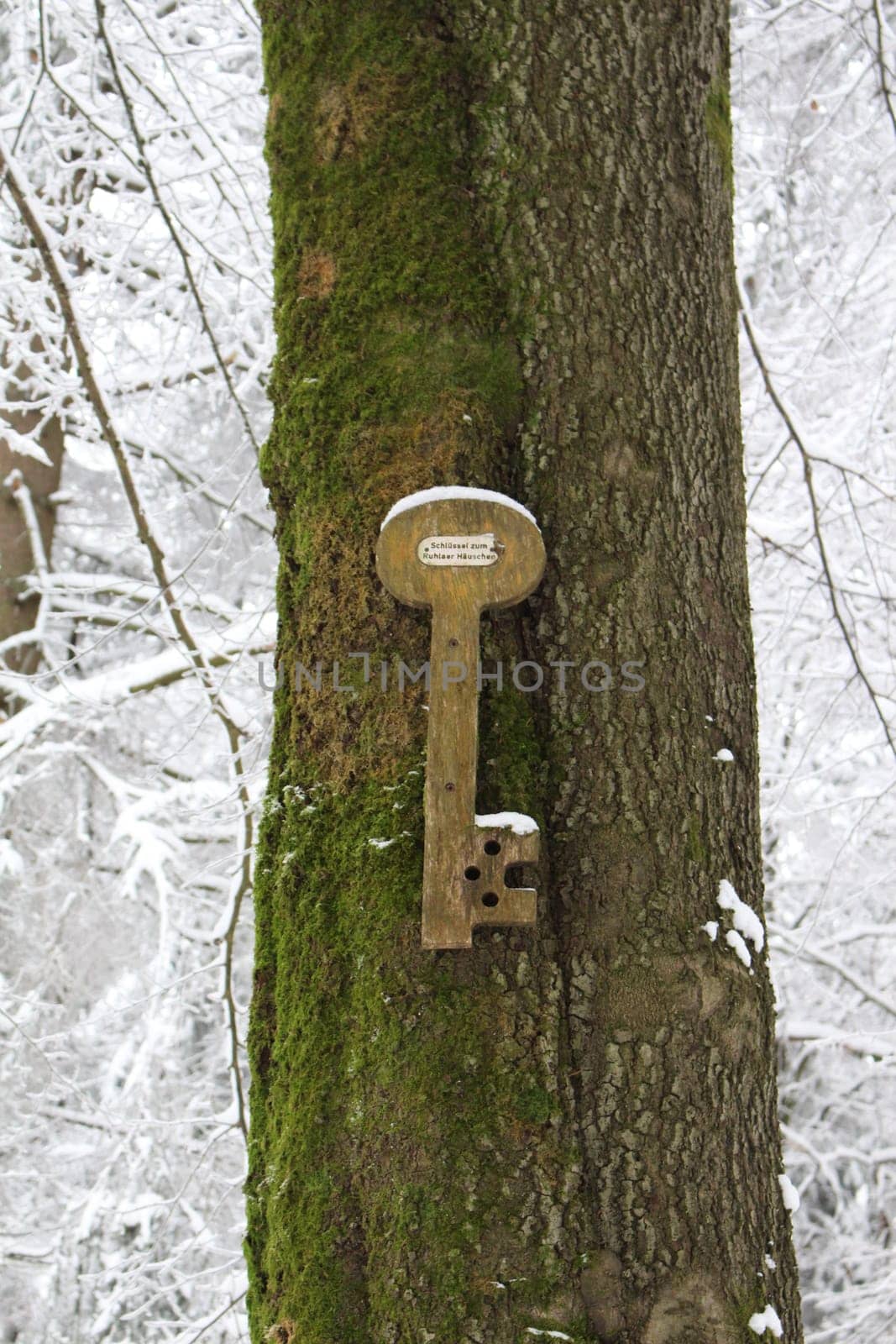 wooden key