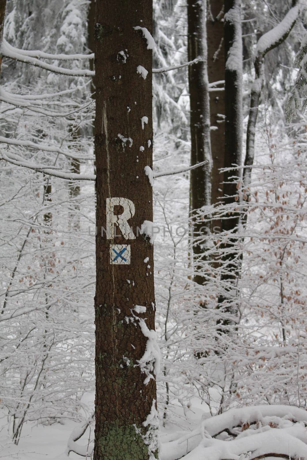 Rennsteig