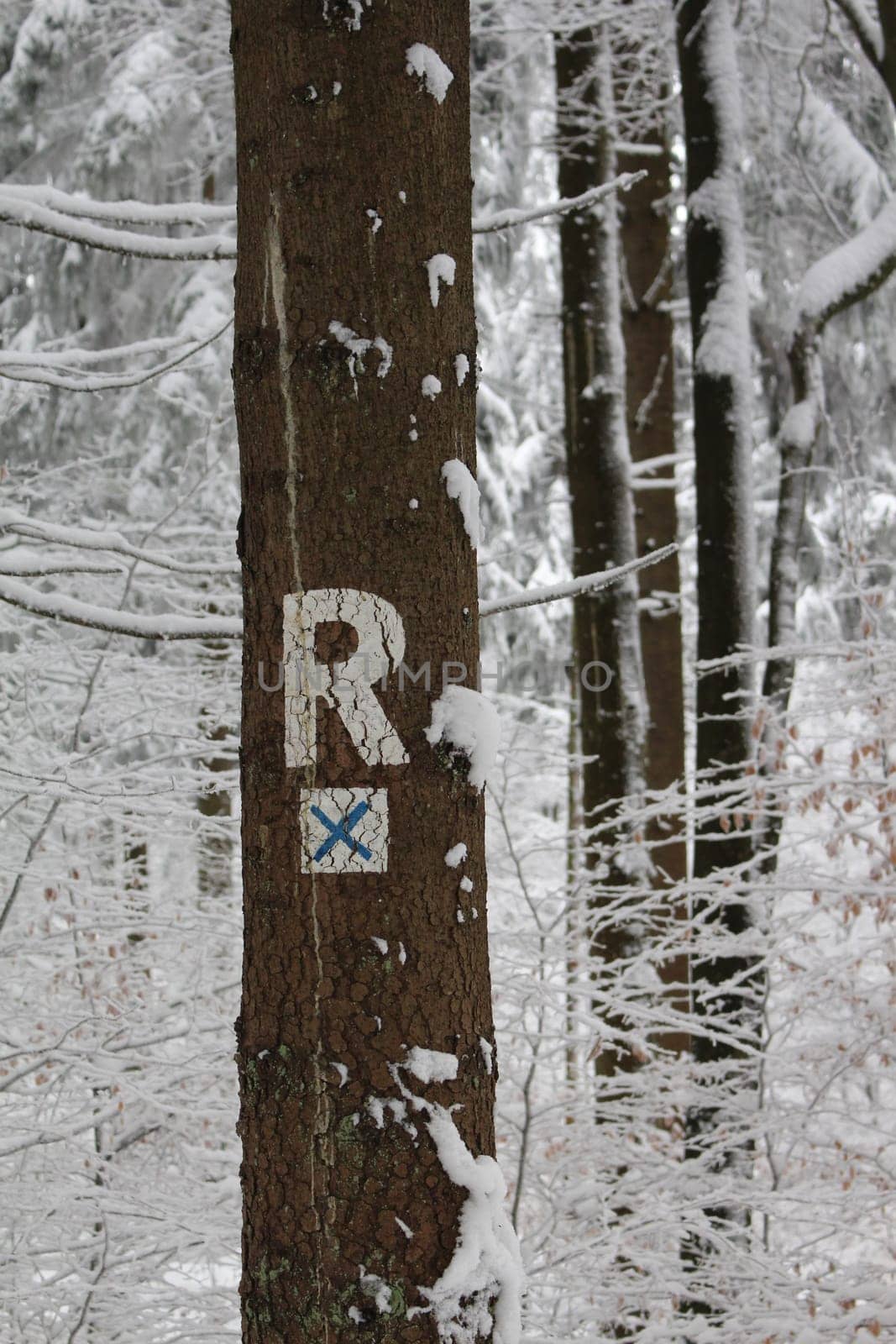 Rennsteig