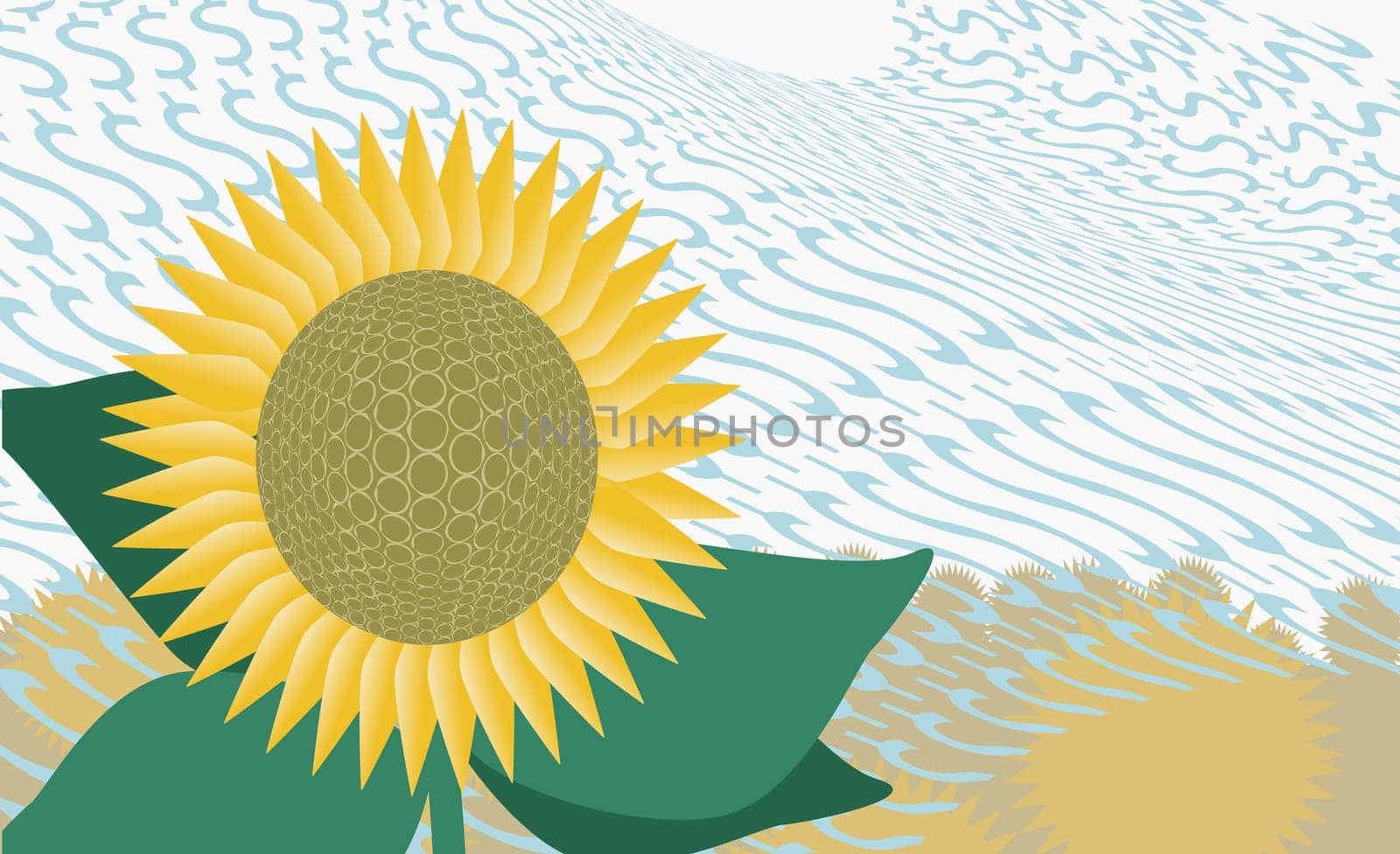 Close-up of a sunflower in front of dollar signs