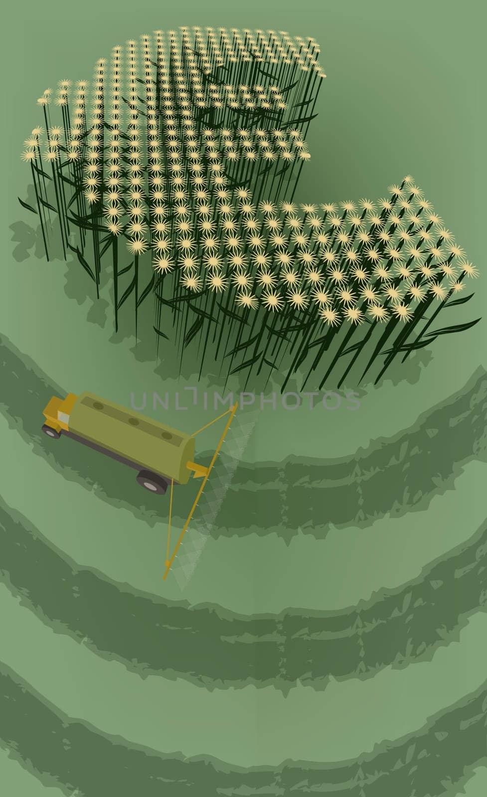 High angle view of Euro symbol in a field