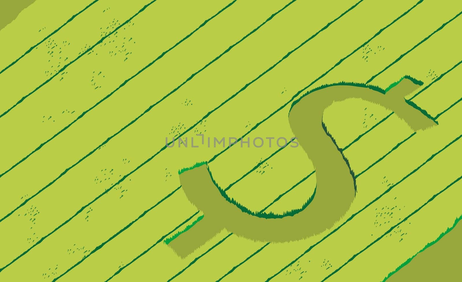 High angle view of a dollar sign etched on a field