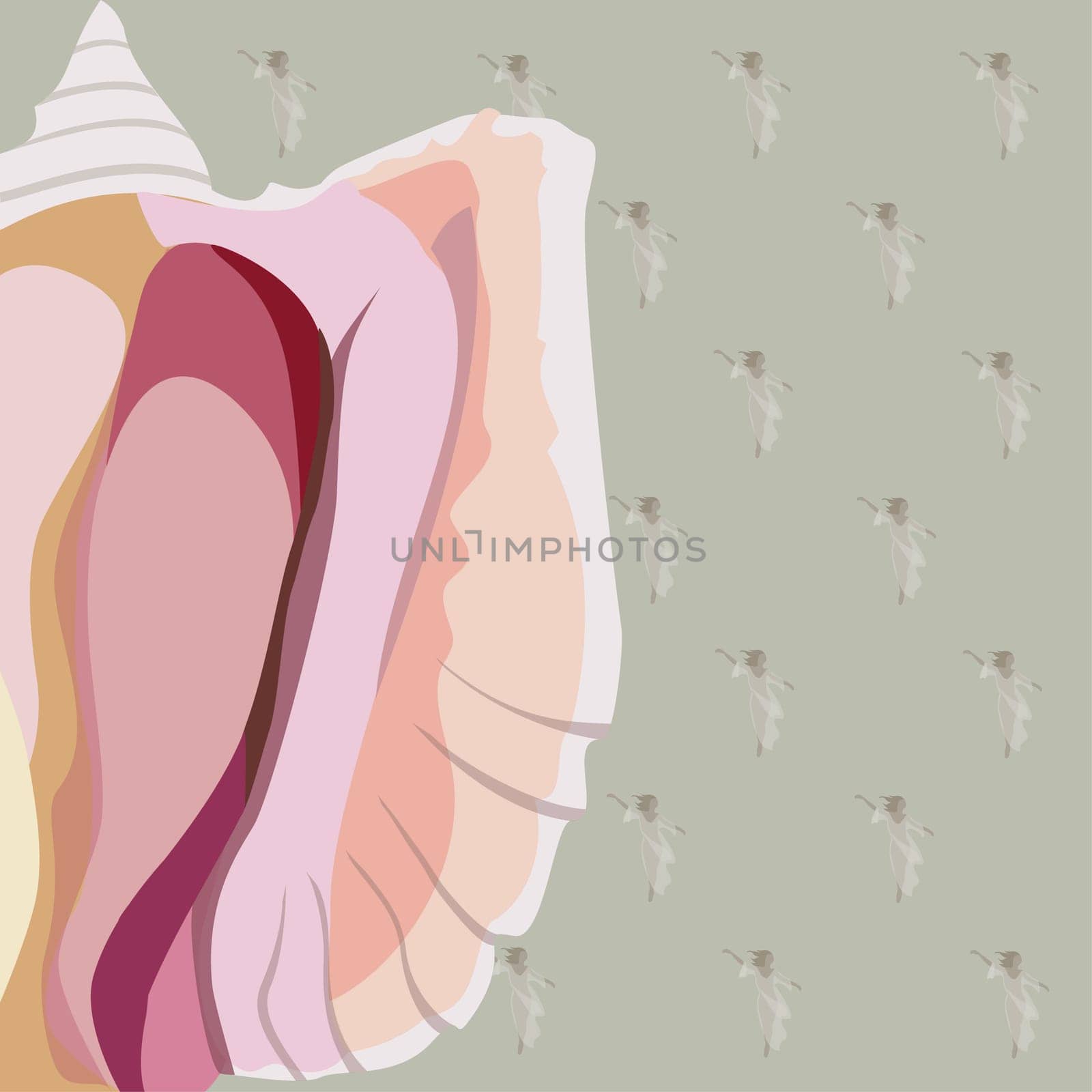 Conch shell