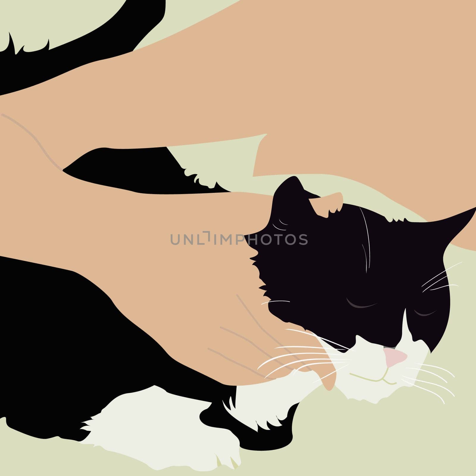 Woman holding a cat