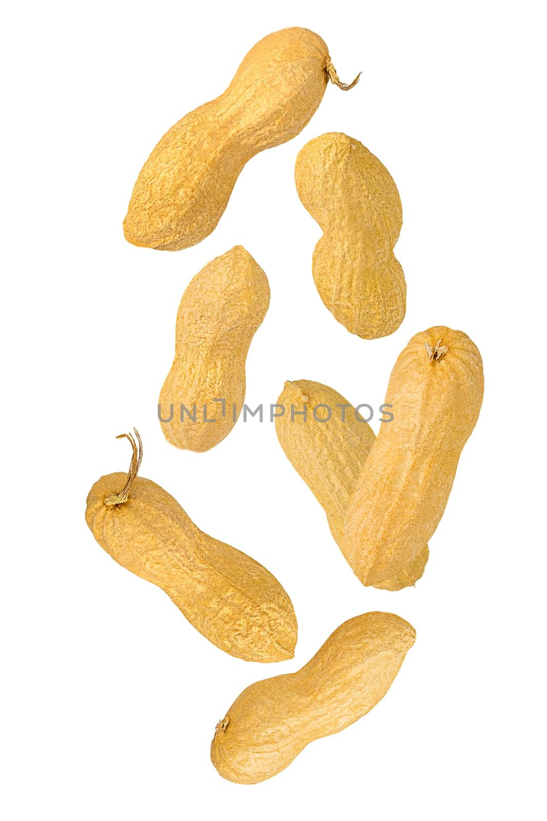 Isolated nuts. Seven whole peanuts with shell falling down on white with clipping path as package design element. Full depth of field. Food levitation concept.