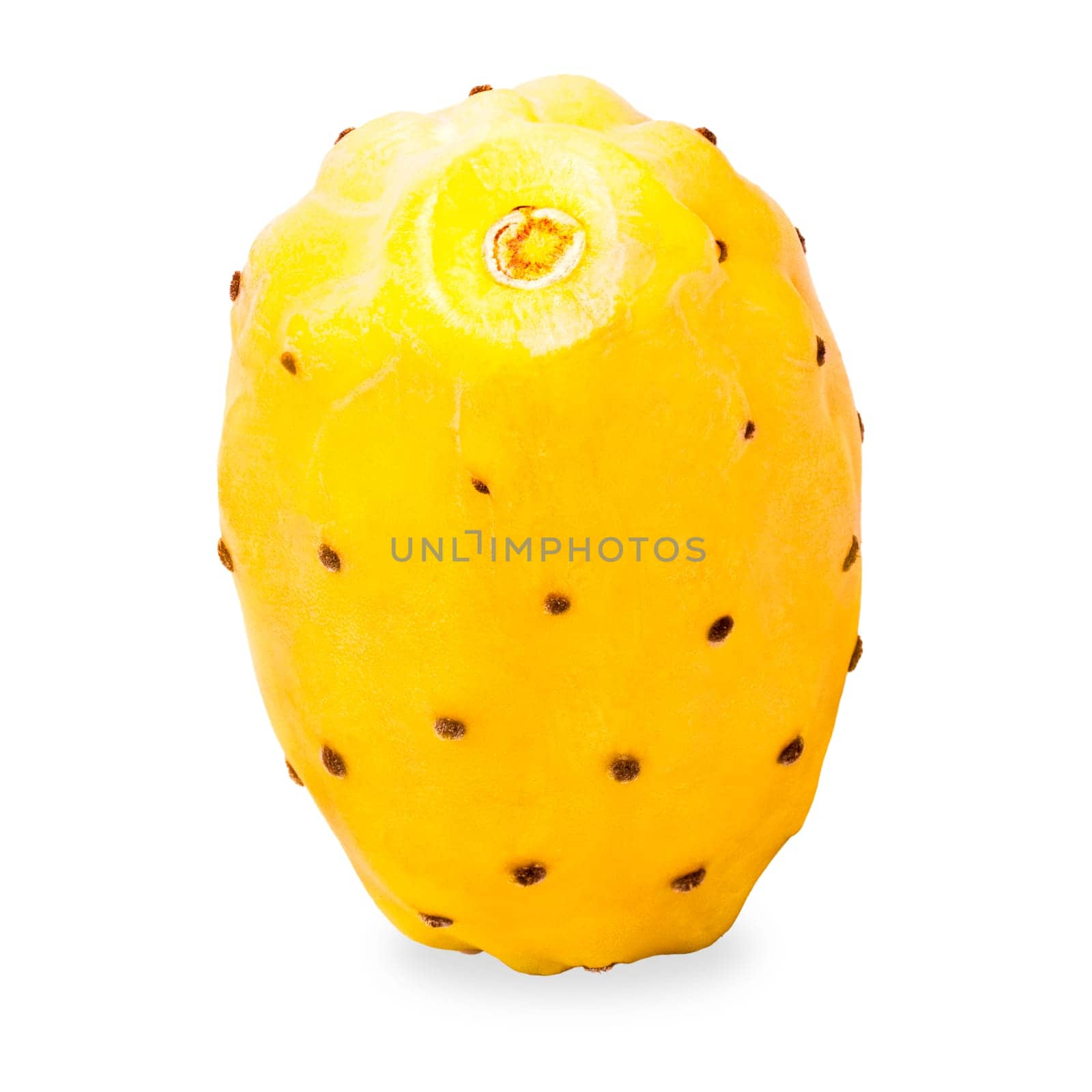 Isolated opuntia fruits with shadow for advertisement. Packaging concept. Full depth of field. Clip art image for package design.
