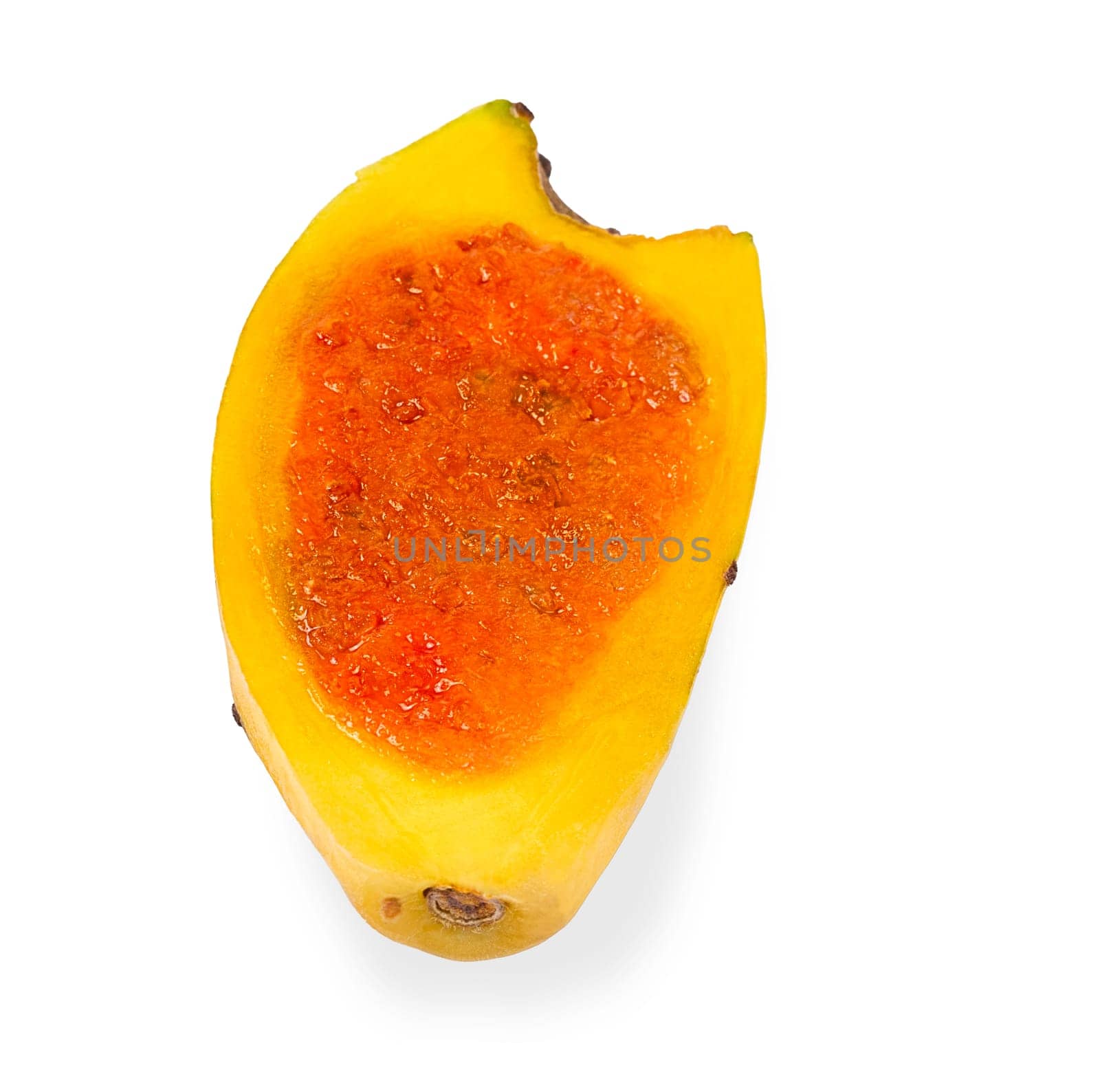 Isolated opuntia fruits with shadow for packaging and advertisement. Full depth of field. Clip art image for package design.
