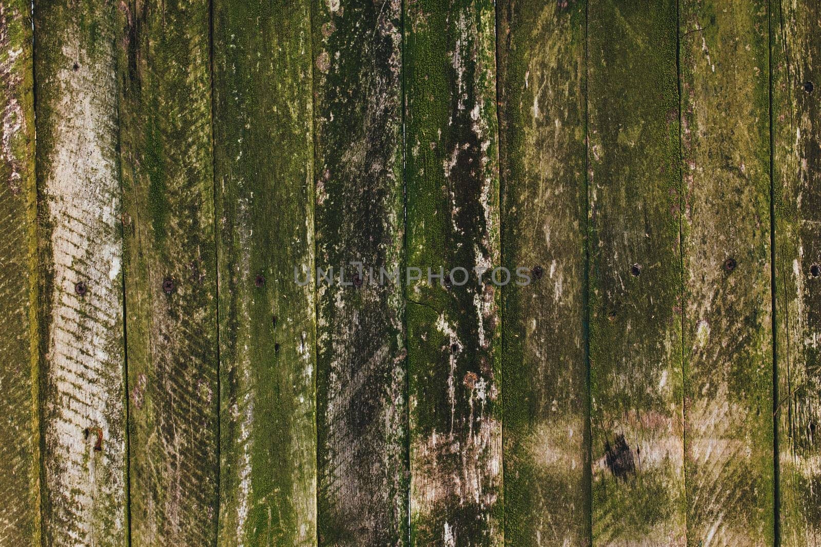 Brown green old wooden fence background. Old boards texture. High quality photo