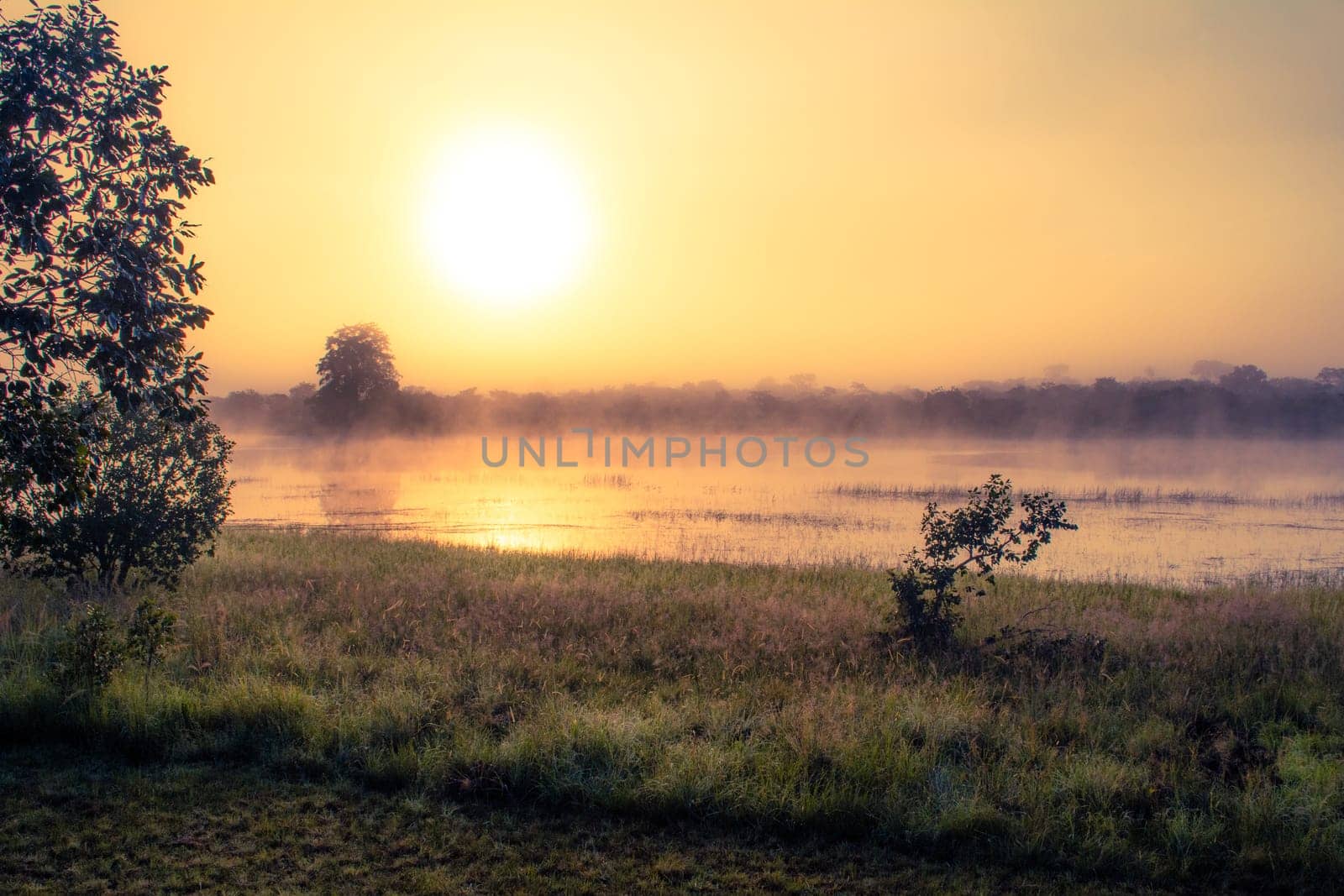 Sunrise at African savannah lake during camping adventure in Malawi