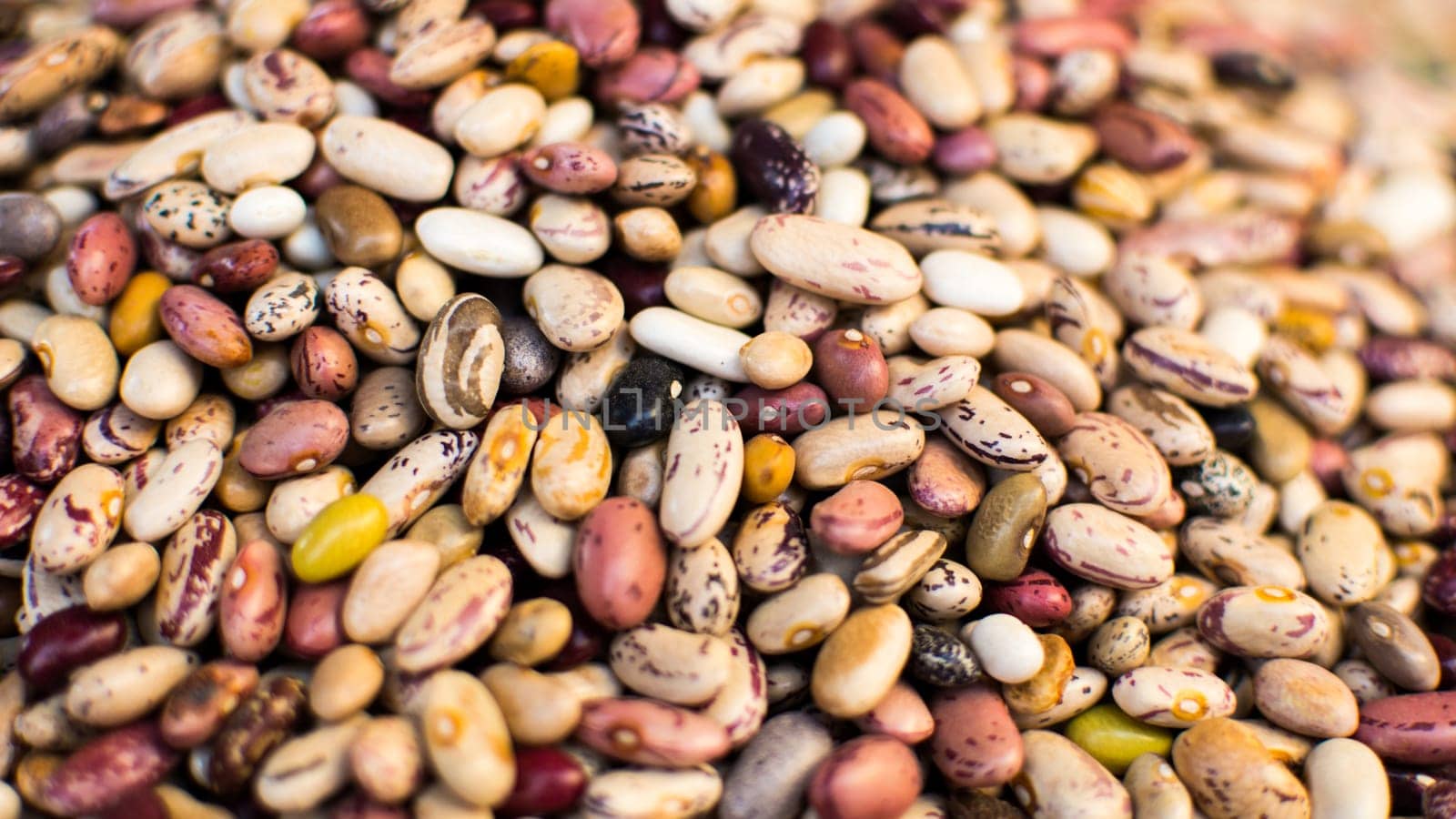 Dried mixed beans in close-up and detail