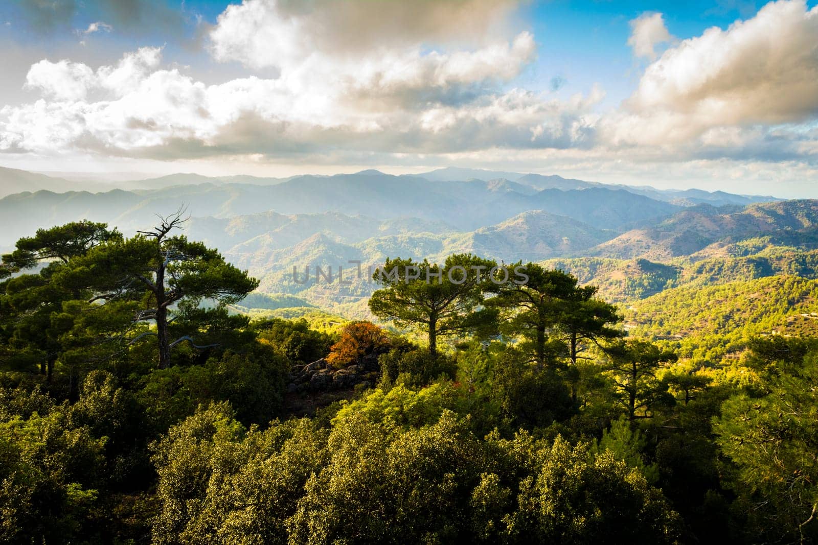 Pano Platres landscape in Troodos mountains, Cyprus. Sunset. Travel and tourism.
