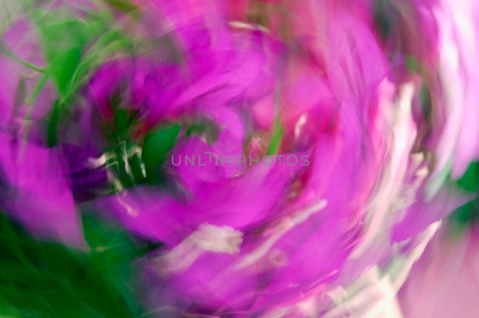 Flowers in a greenhouse