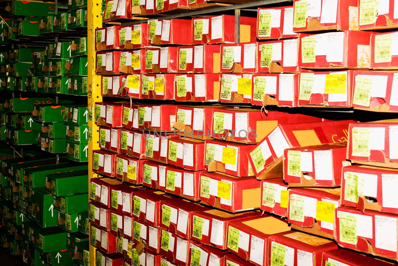 Flower boxes in a warehouse, Miami, Florida, USA