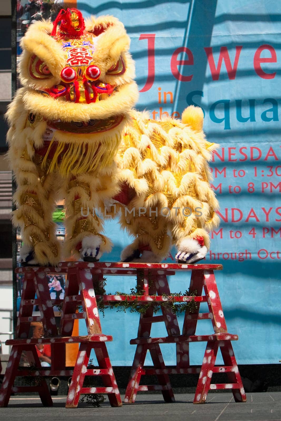 People celebrating dragon festival, Union Square, San Francisco, California, USA