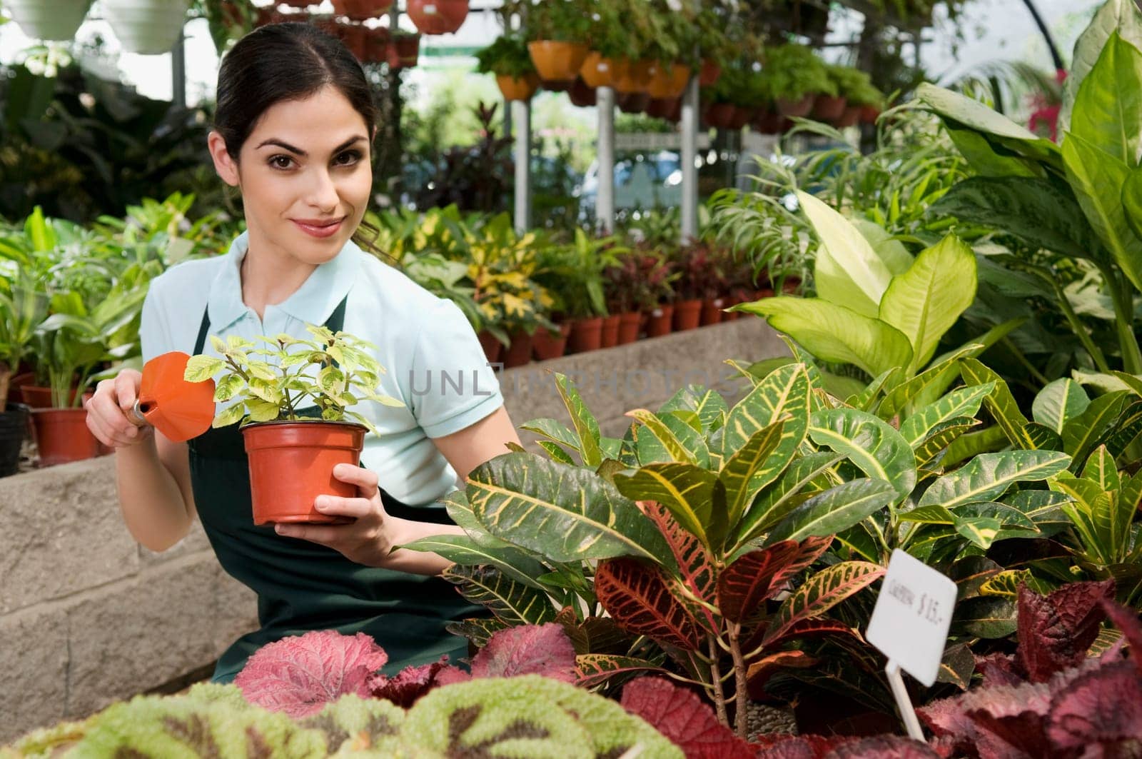 Woman holding a potted plant in a greenhouse