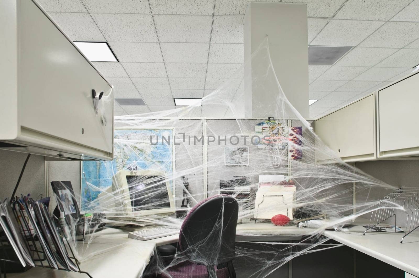 Office interiors covered with cobwebs