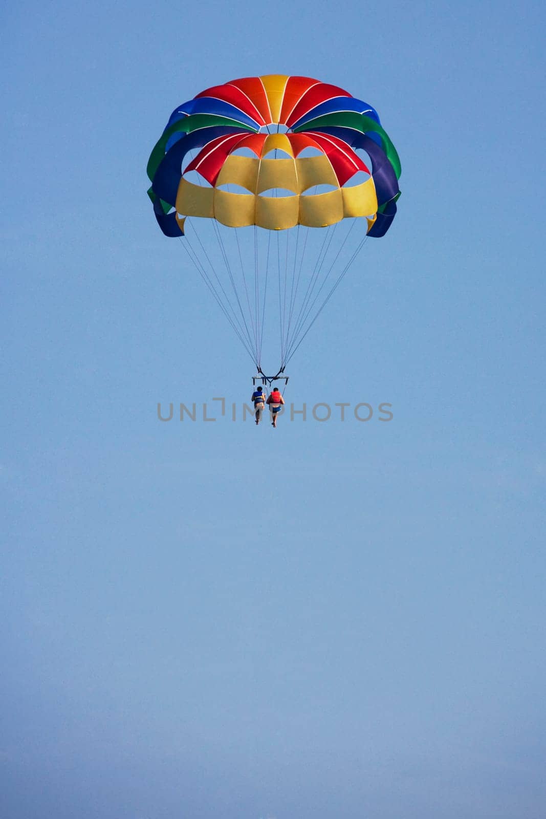 Low angle view of paragliders, Miami Beach, Florida, USA