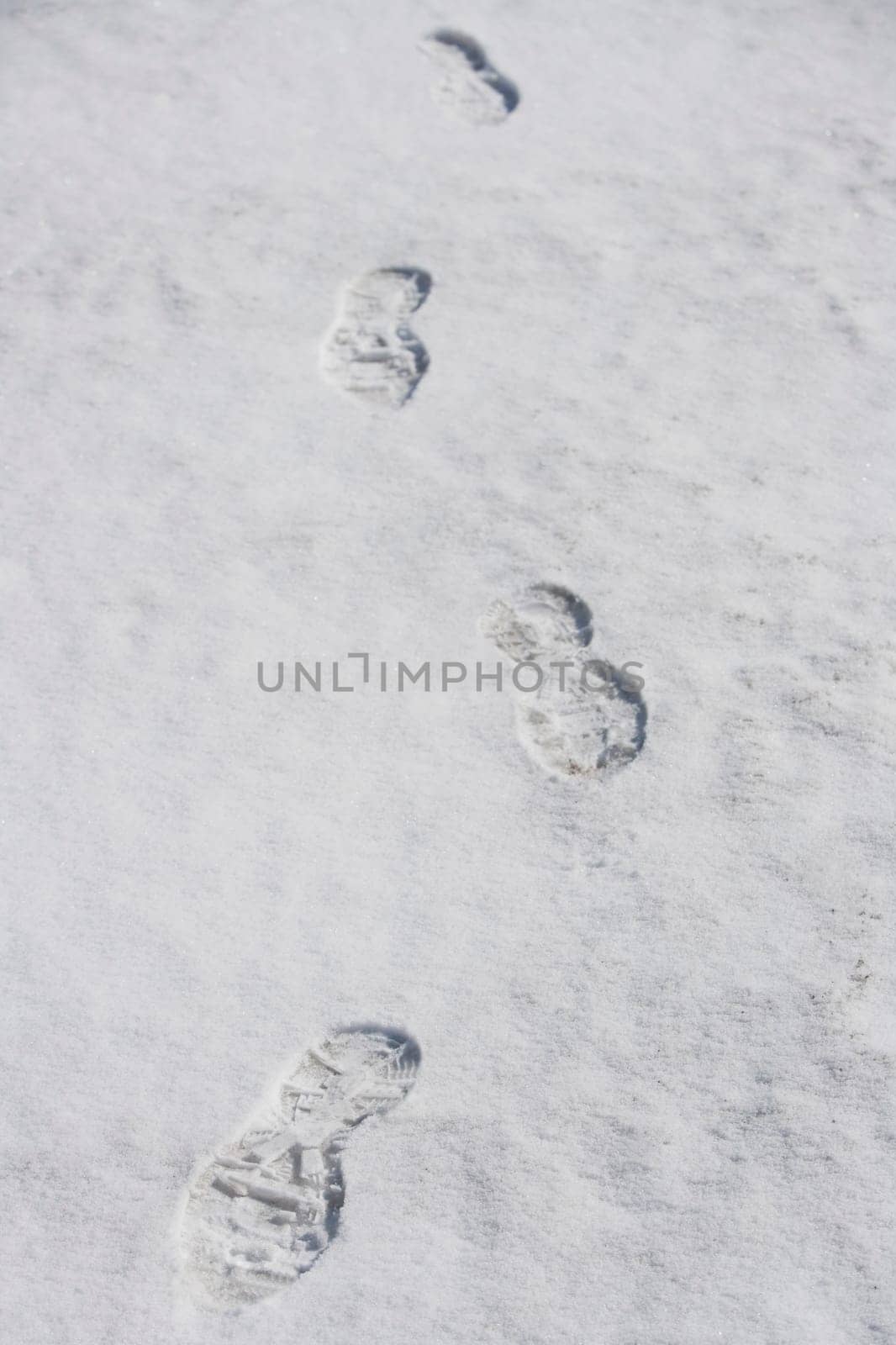 Footprints in snow, Grand Teton National Park, Wyoming, USA