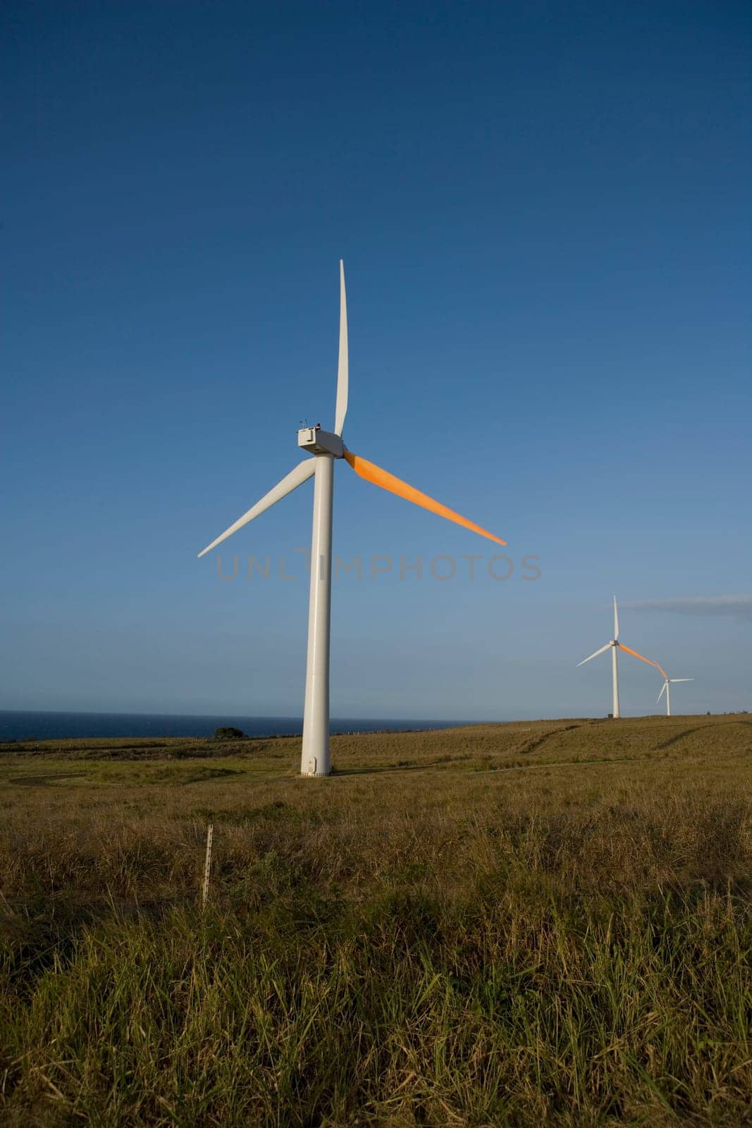 Wind turbines in a field, Pakini Nui Wind Project, South Point, Big Island, Hawaii, USA