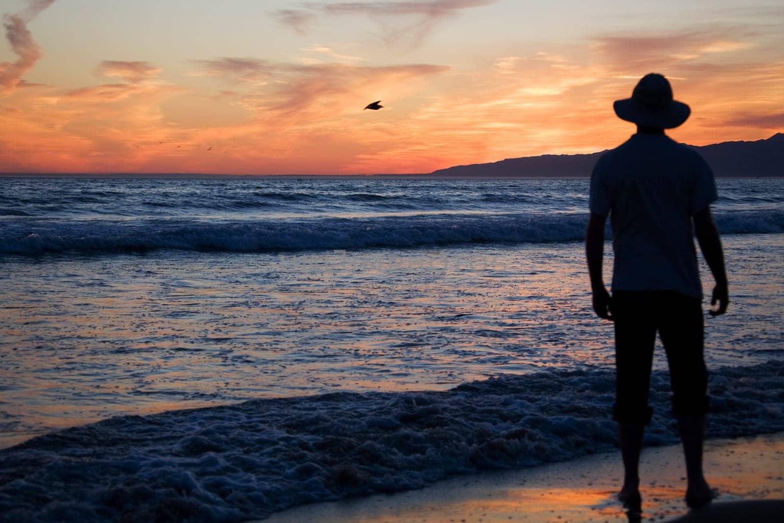 Man standing on the beach, Santa Monica, Los Angeles County, California, USA