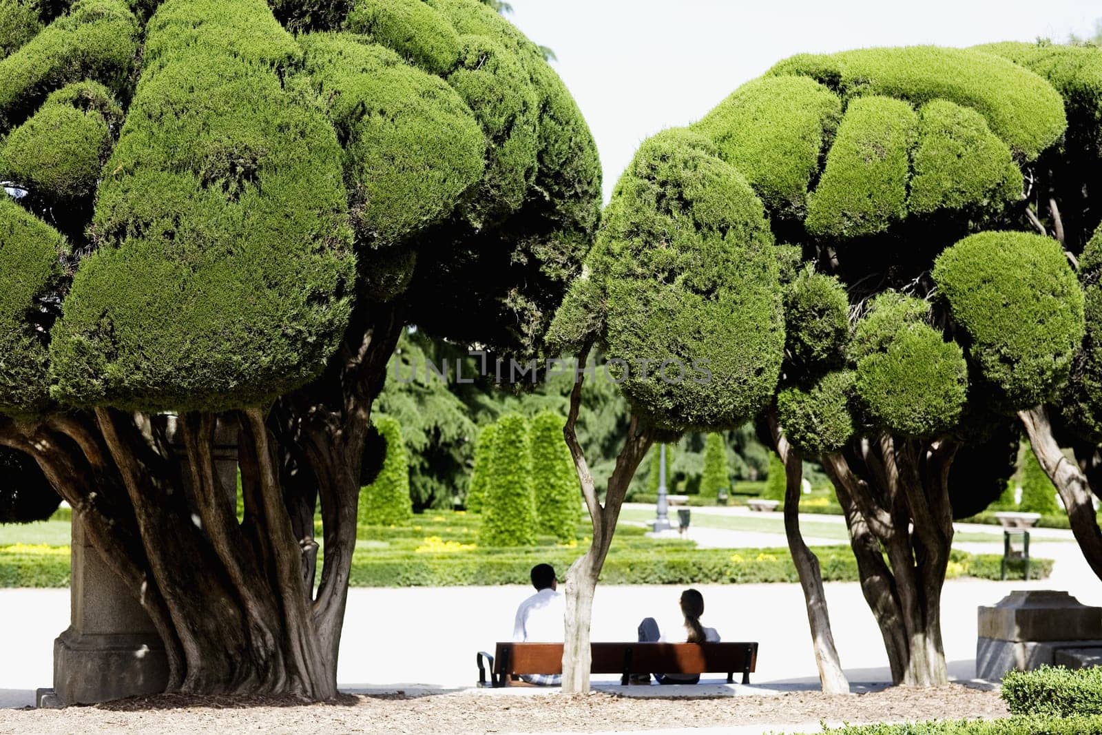 Rear view of a couple sitting in a park, Madrid, Spain