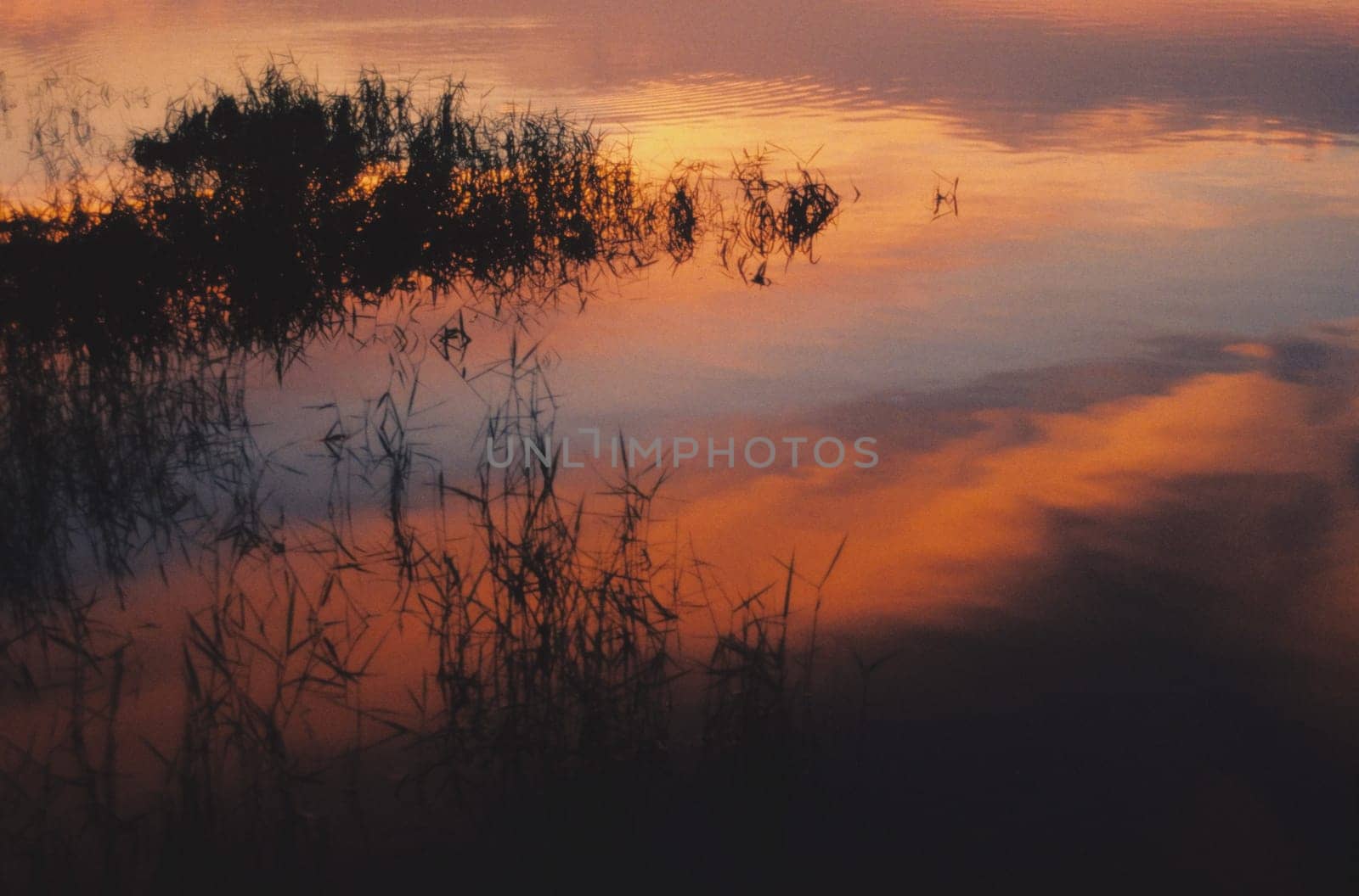 Reflection of clouds in a lake at sunset
