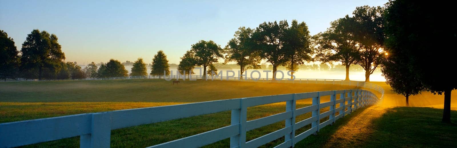 Trees along a fence in a field, Lexington, Kentucky, USA