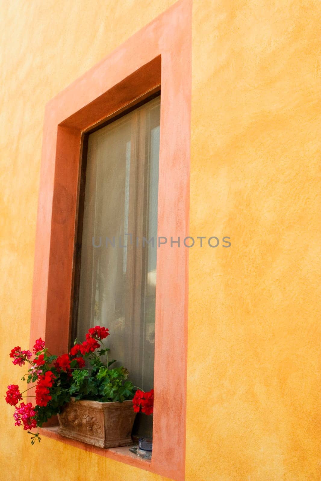 Flowers in a window box, Siena Province, Tuscany, Italy