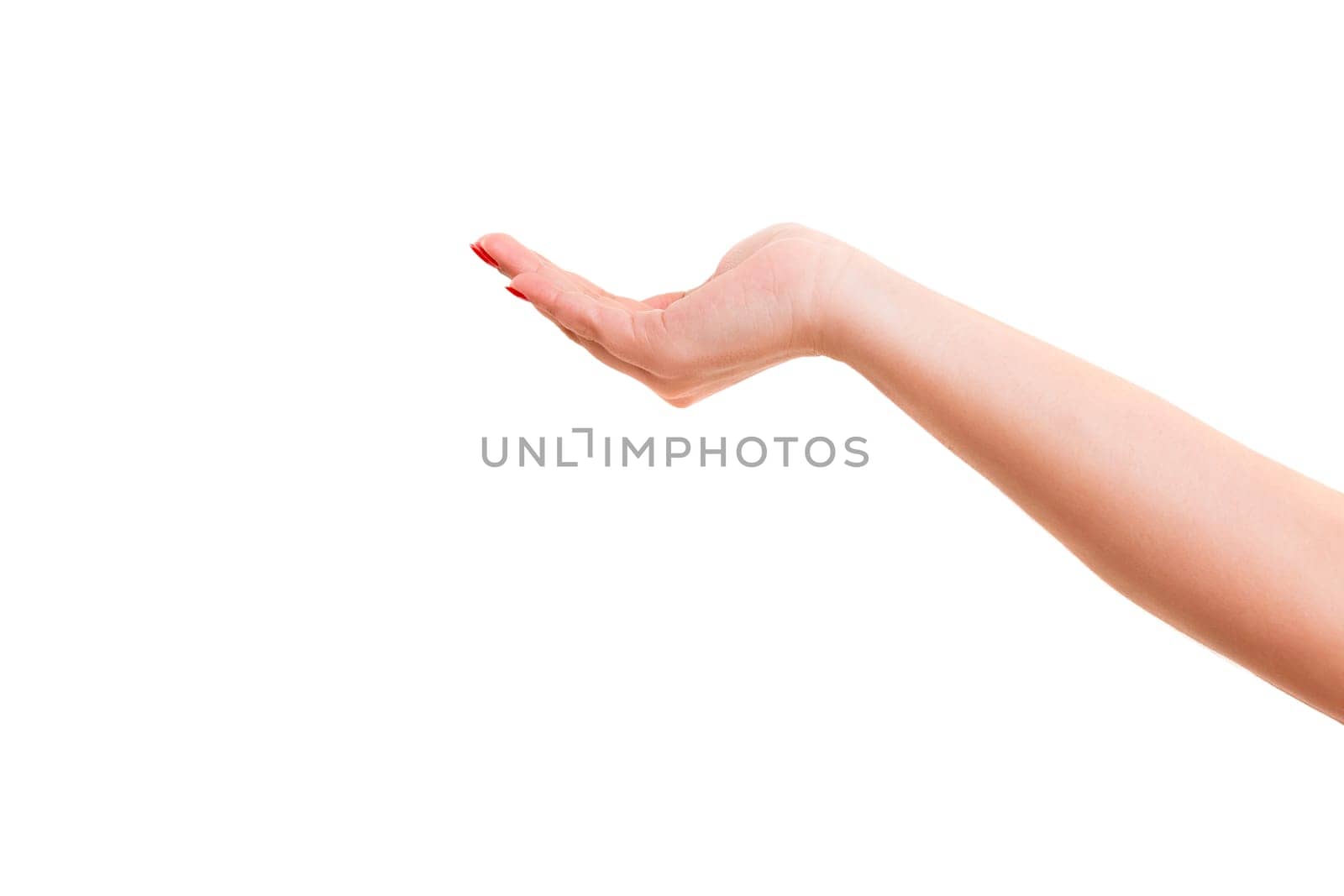 Cropped view of a hand cupped over a white background