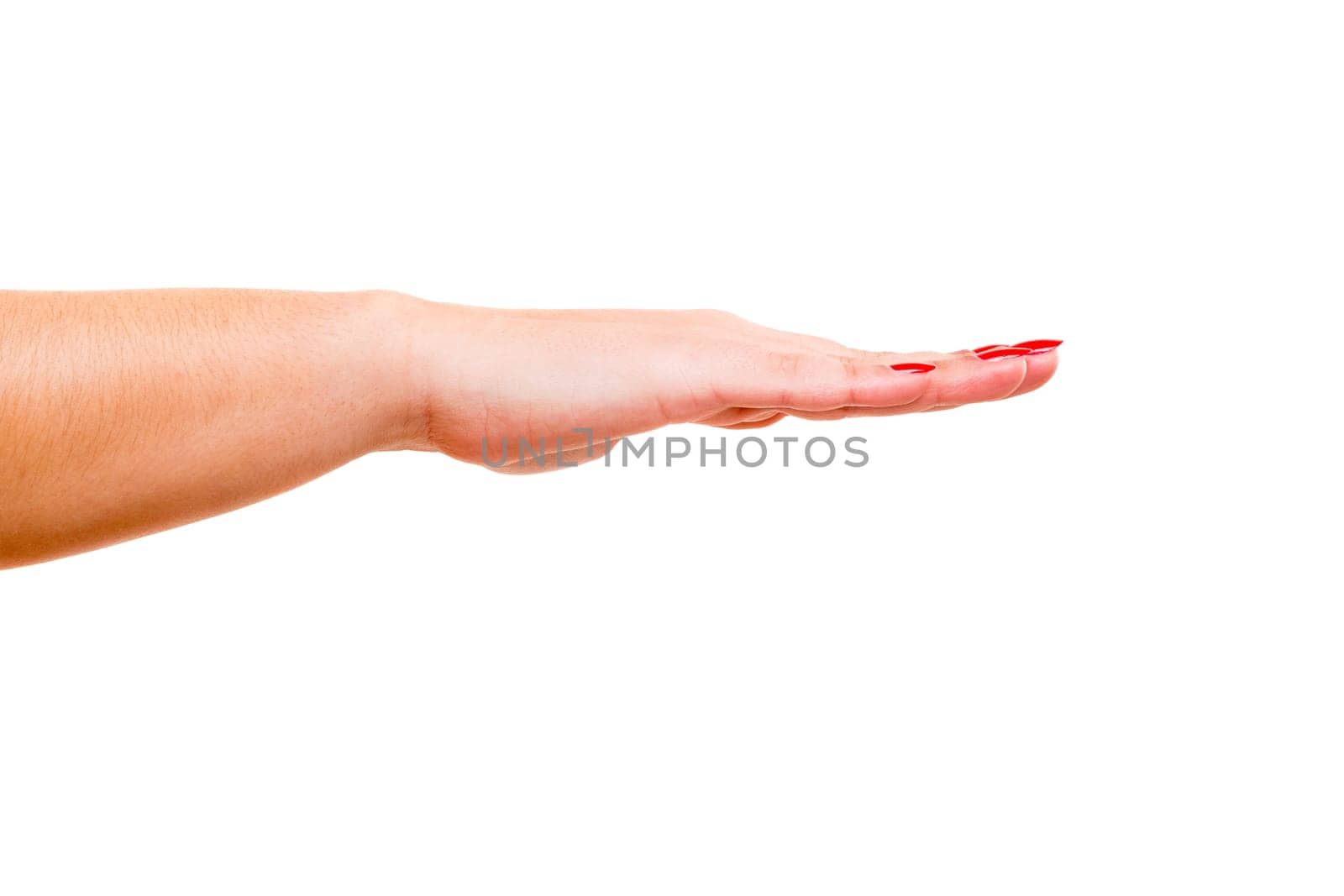 A straightened isolated hand
