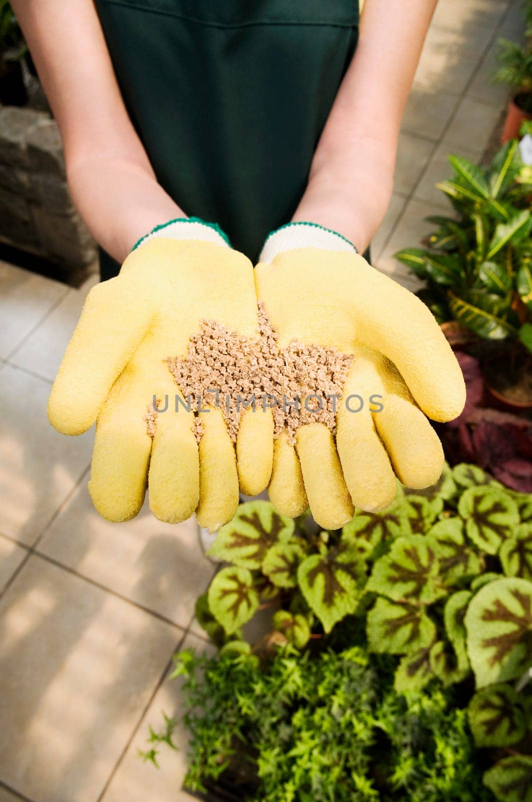 Woman holding a handful of compost in a greenhouse