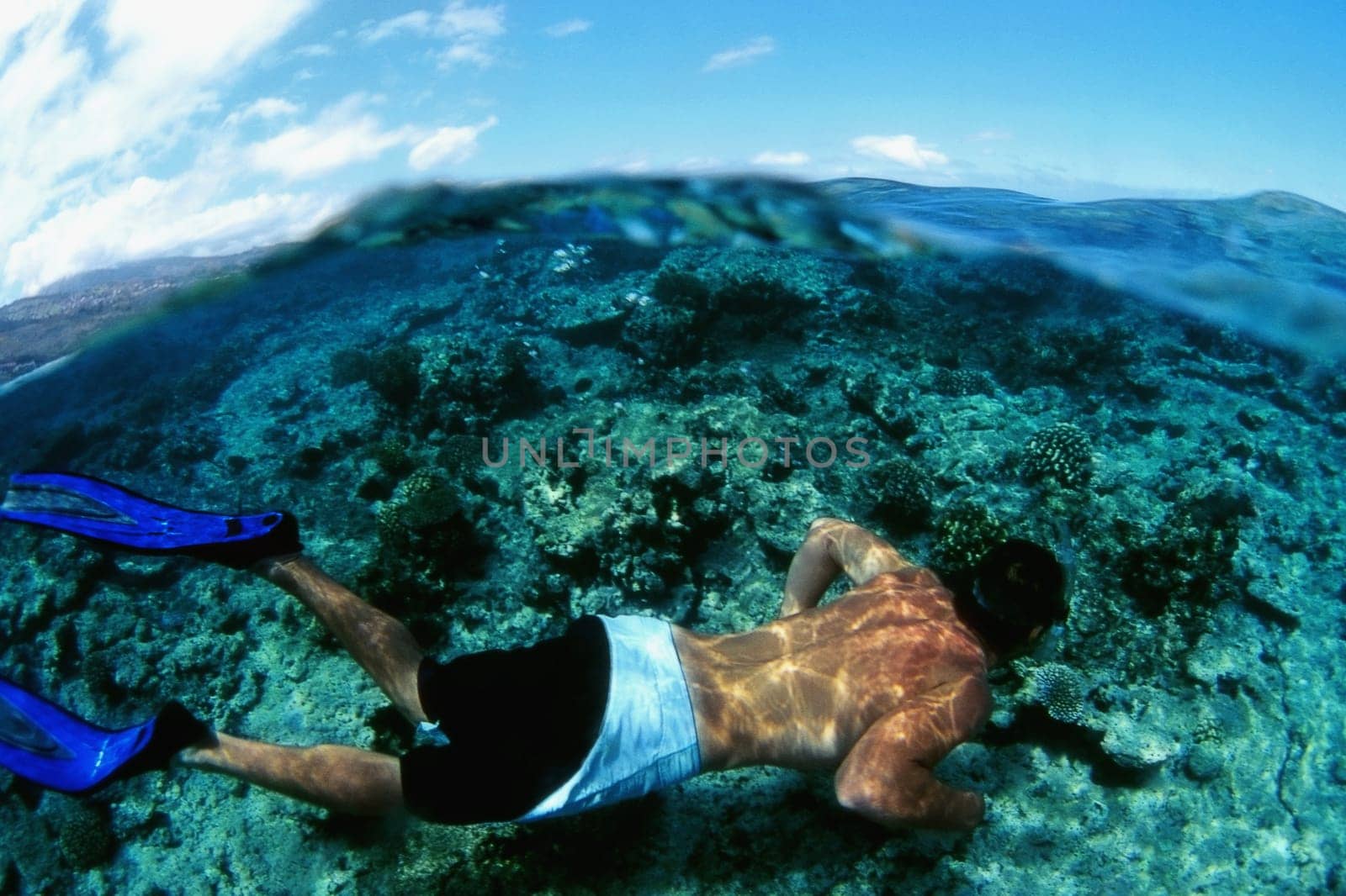 Rear view of a person swimming underwater
