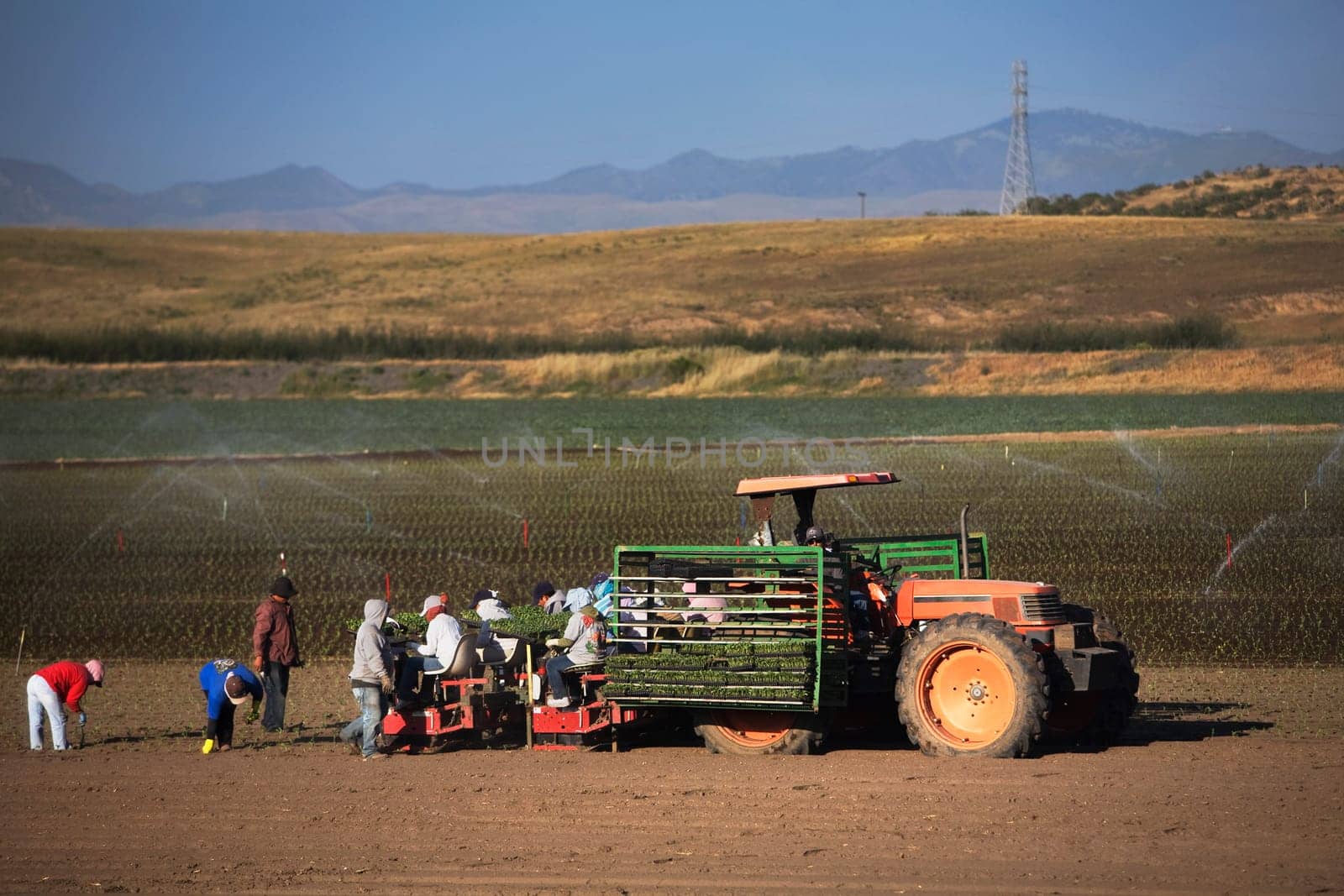 Farmers working in a field, California, USA