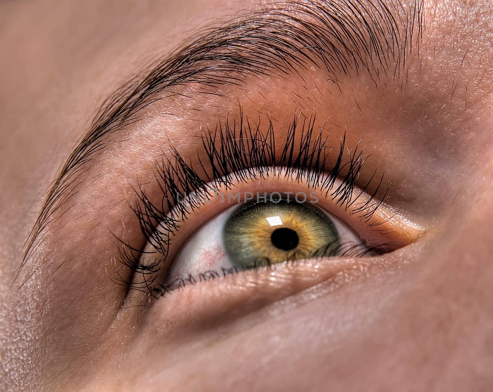 Close_up of a human eye