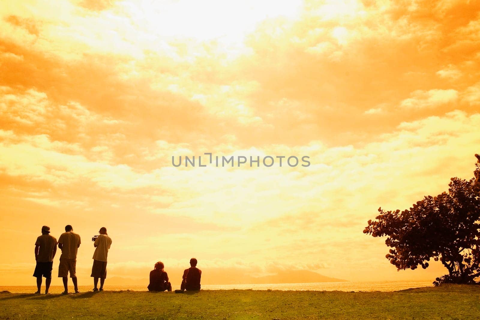 Rear view of five people on the beach, Tahiti, French Polynesia