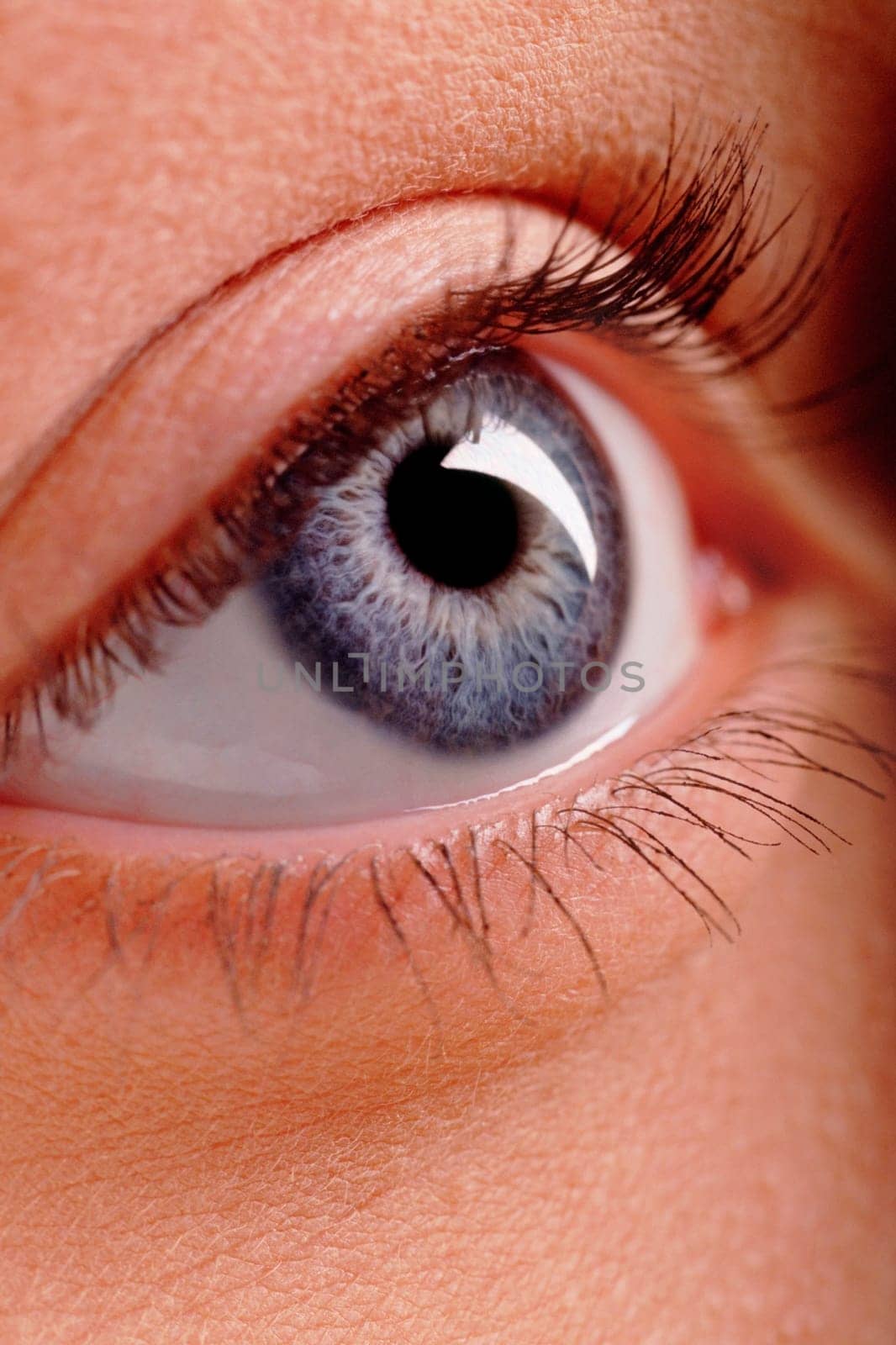 Close_up of a human eye
