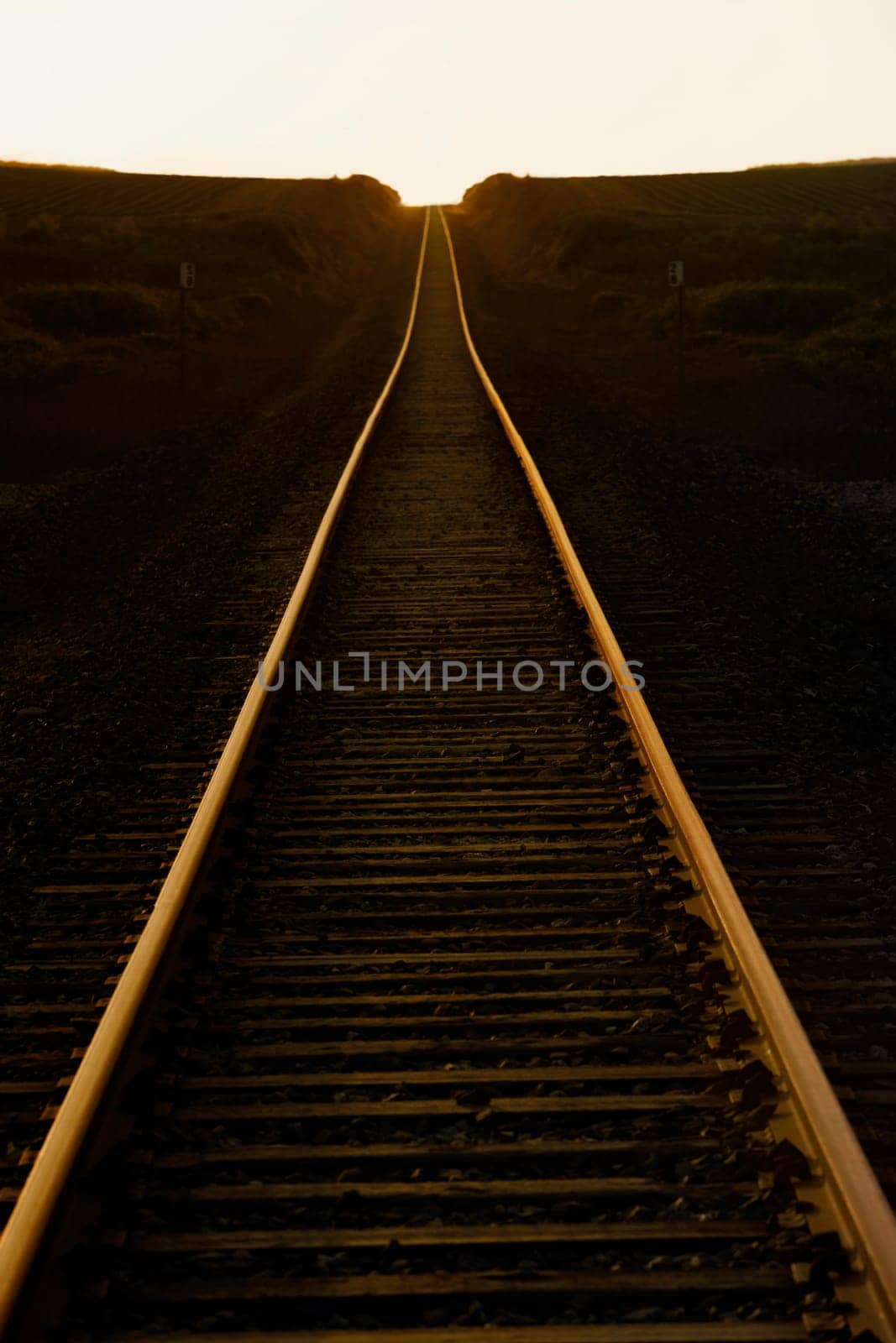 Railroad track passing through a landscape